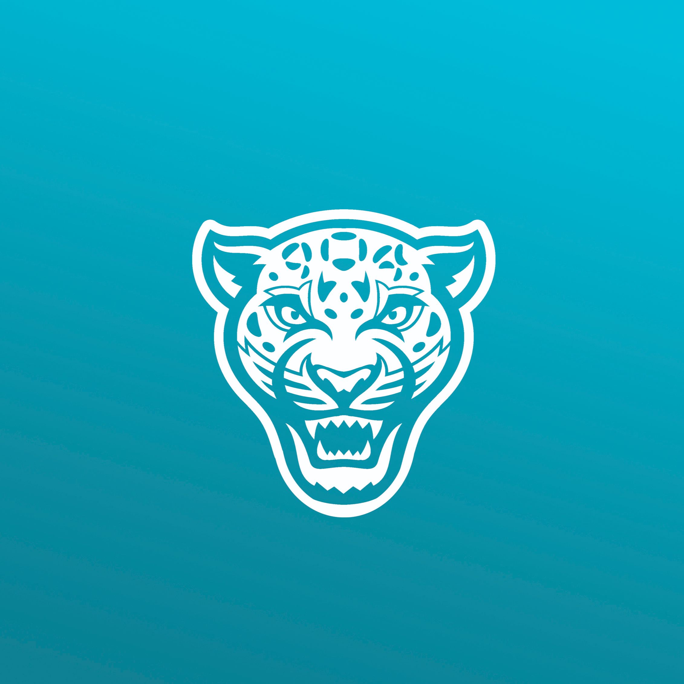 Jaguars 2022 Season Preview — Defense
