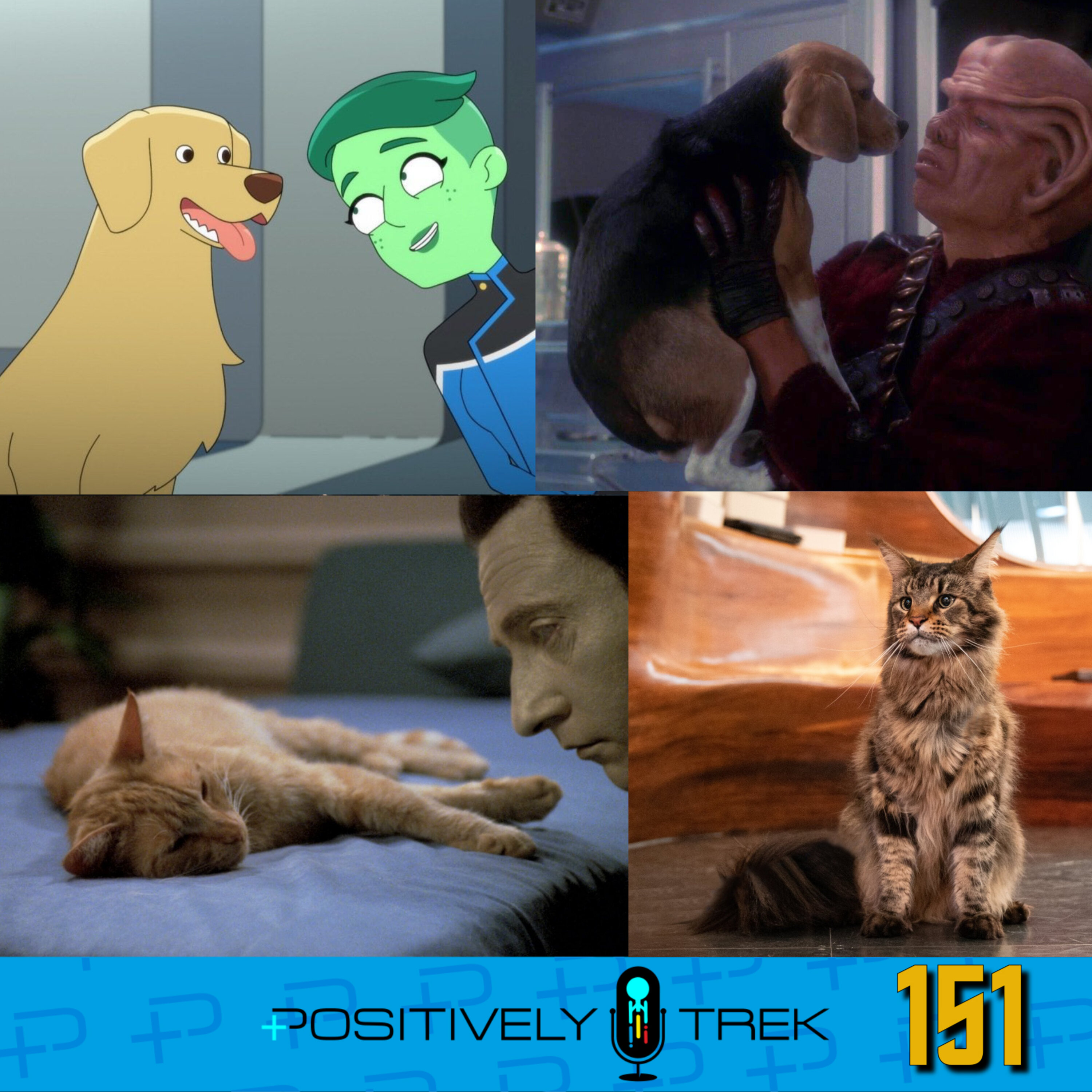 The Pets of Star Trek Image