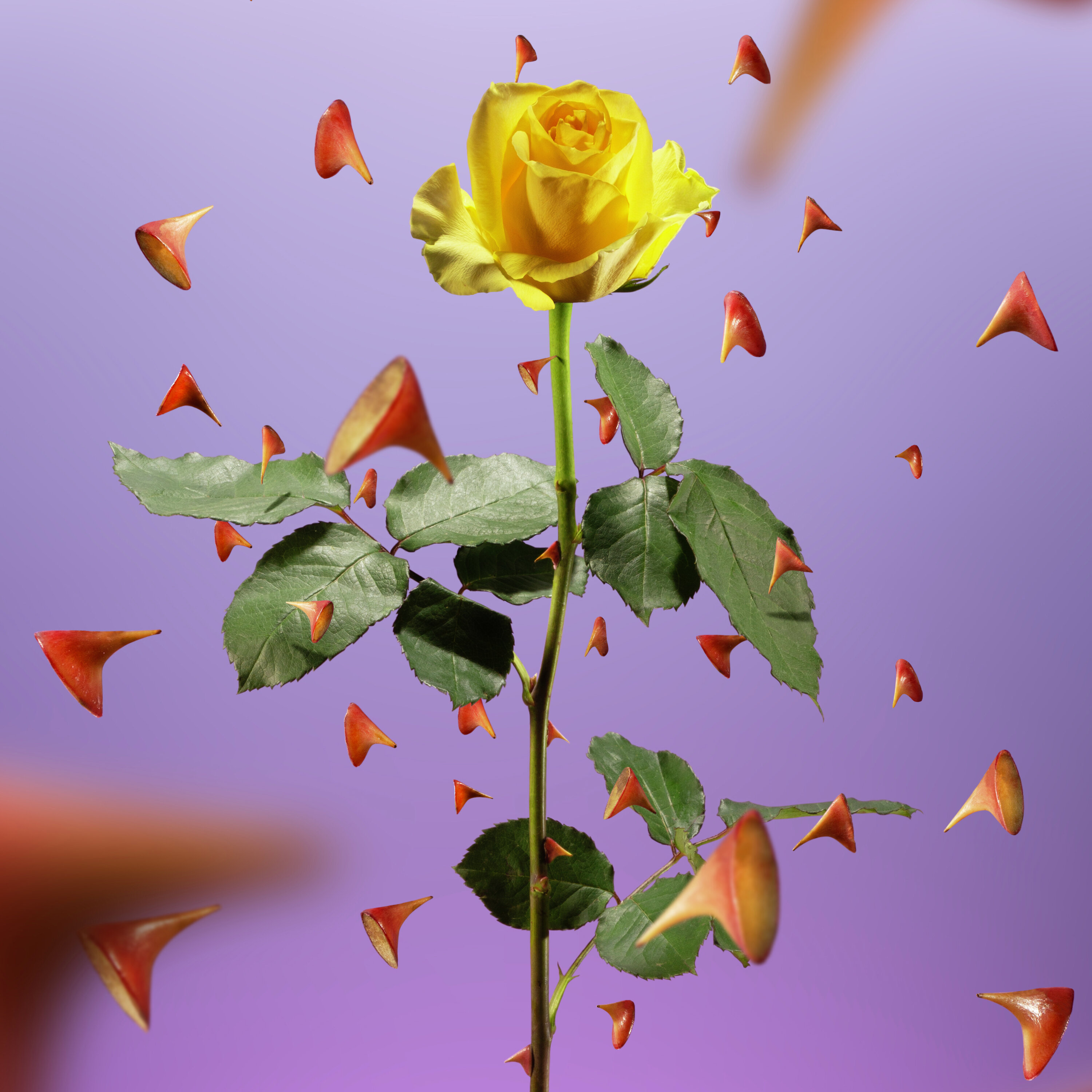 Luisterverhaal: Is overprikkeling een ziekte van deze tijd, of gewoon een ander woord voor moe?