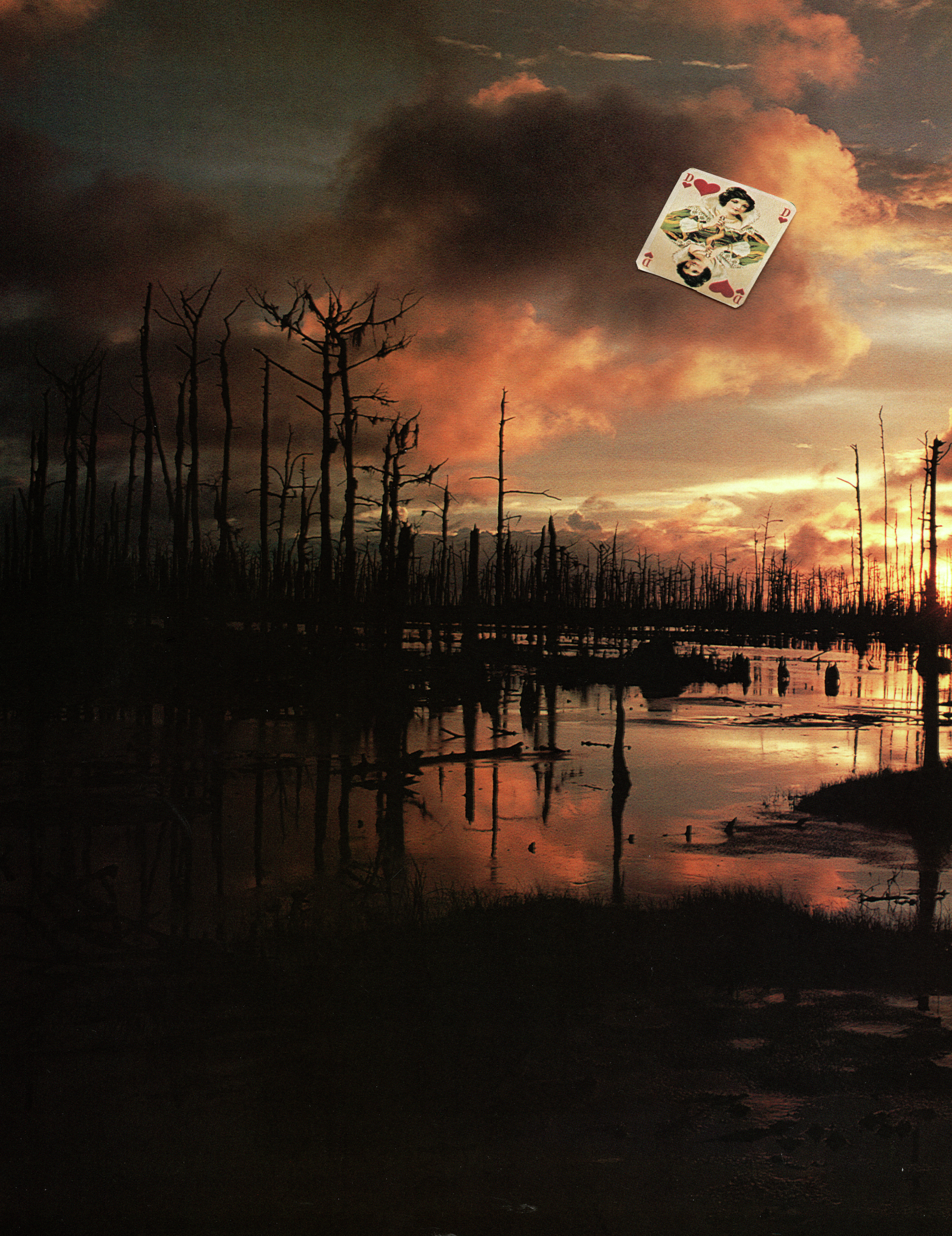 Luisterverhaal: Is het toeval dat zo veel seriemoordenaars uit dezelfde regio komen?