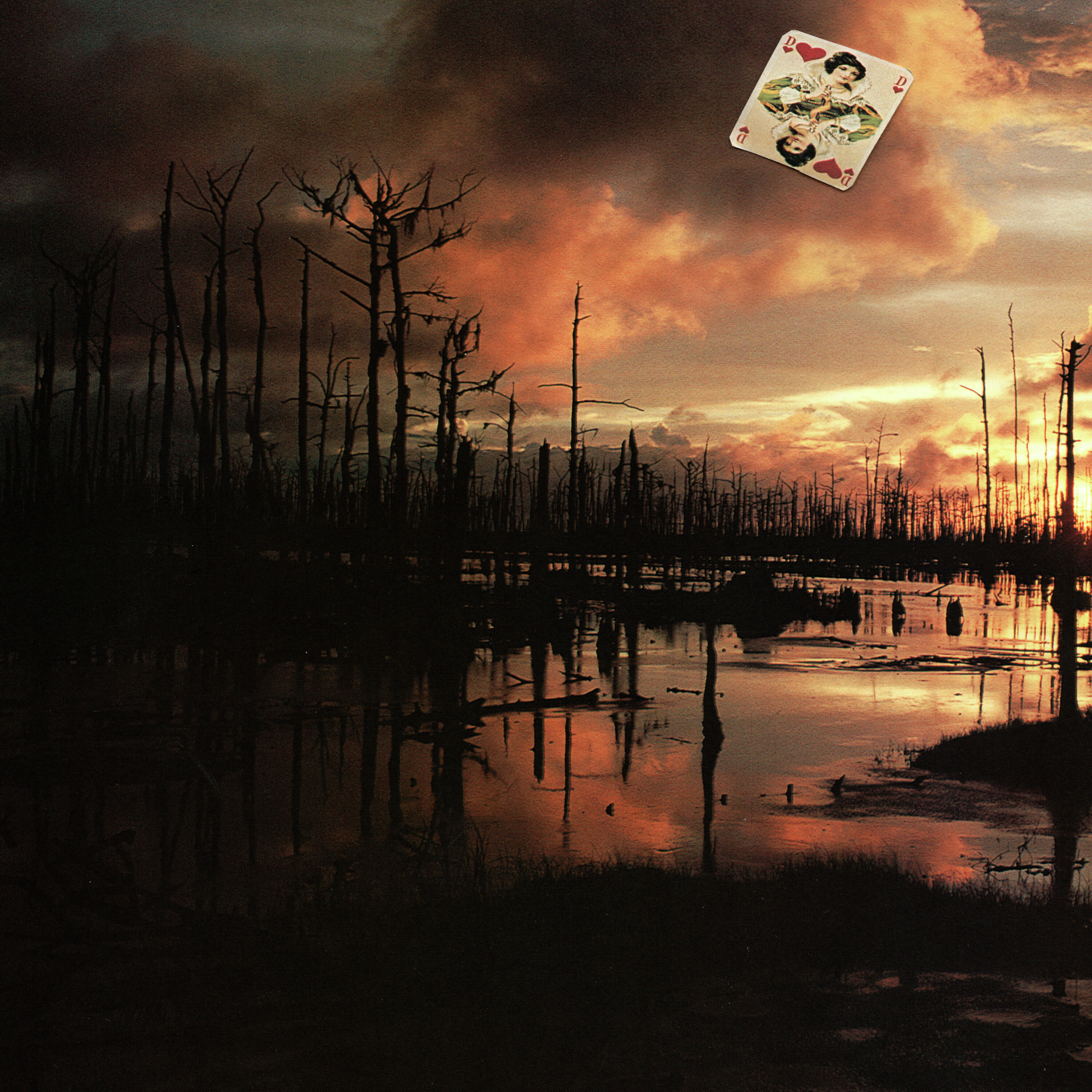 Luisterverhaal: Is het toeval dat zo veel seriemoordenaars uit dezelfde regio komen?