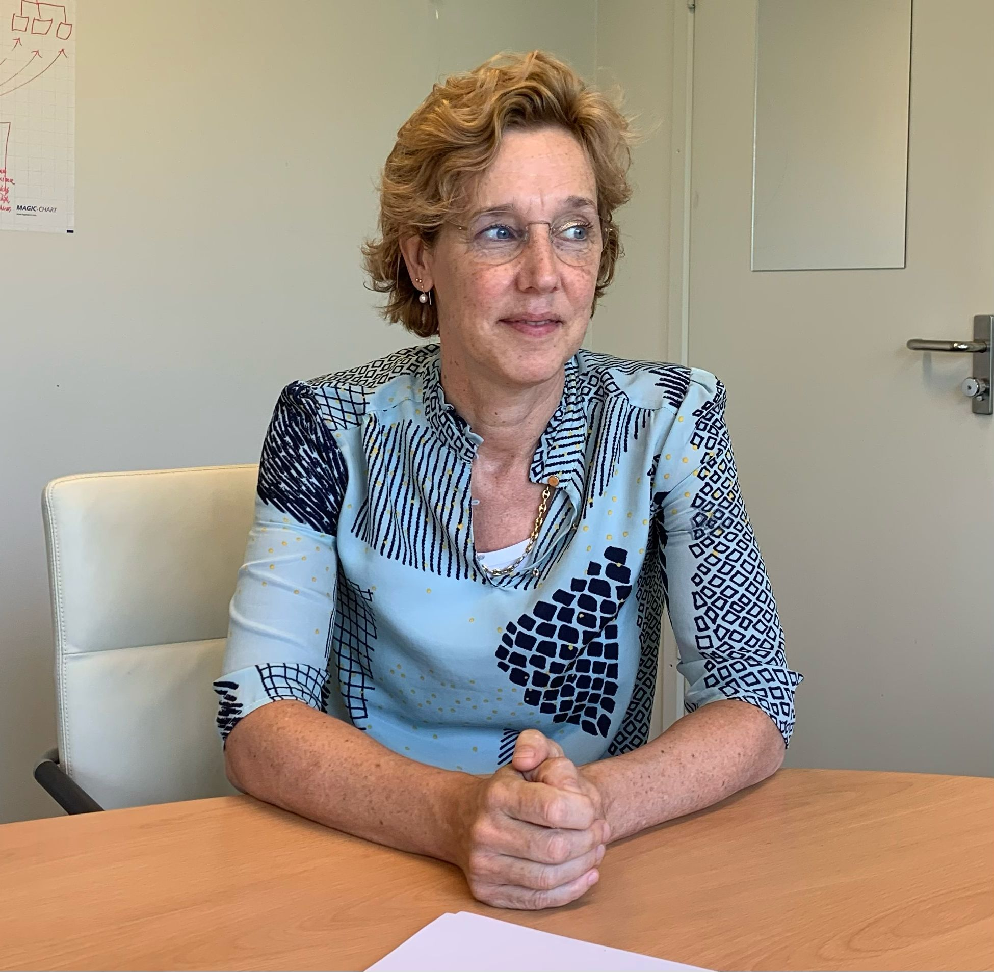 Met Groenteman in de kast