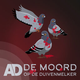 6 - De moordenaar