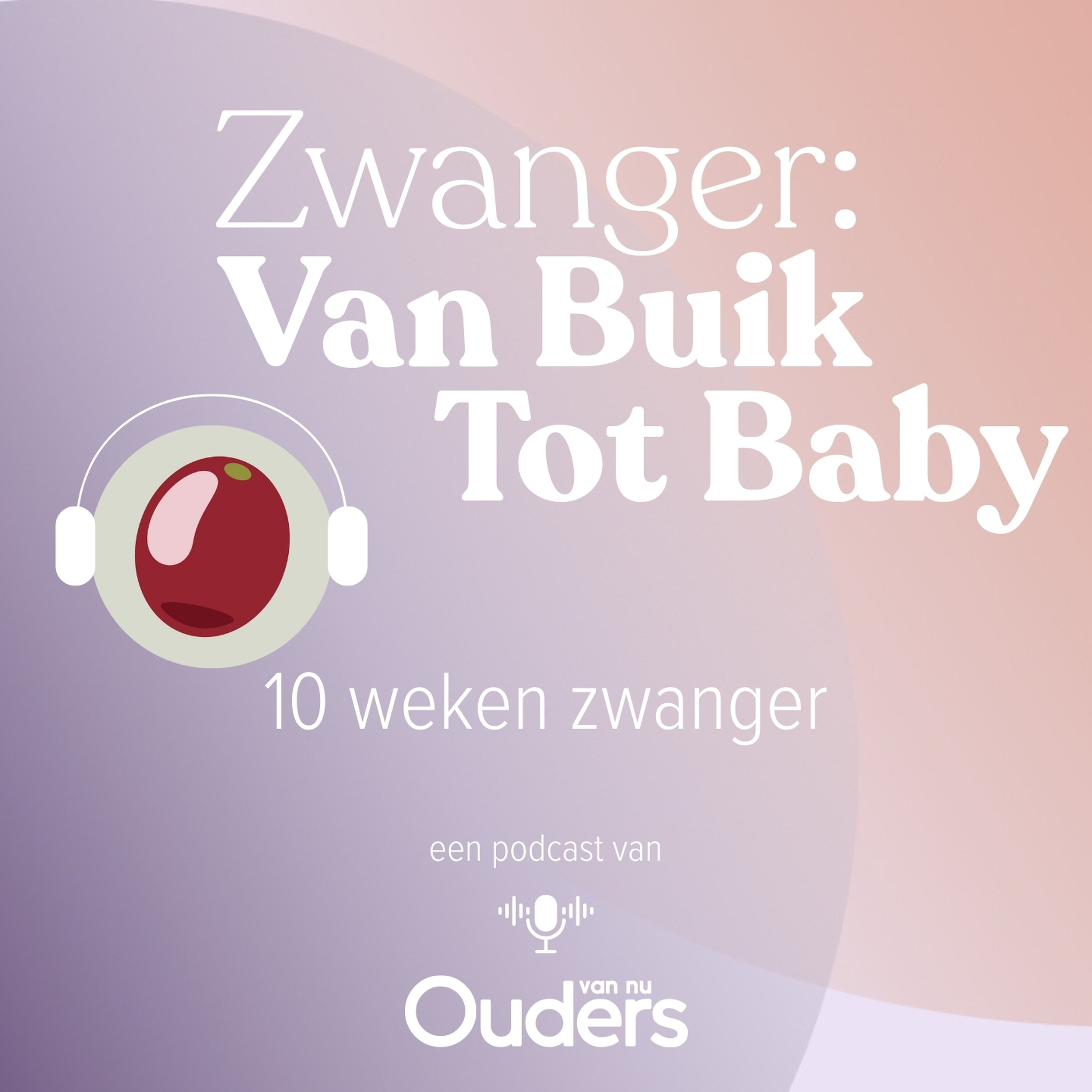 10 Weken zwanger: Een kijkje in je buik