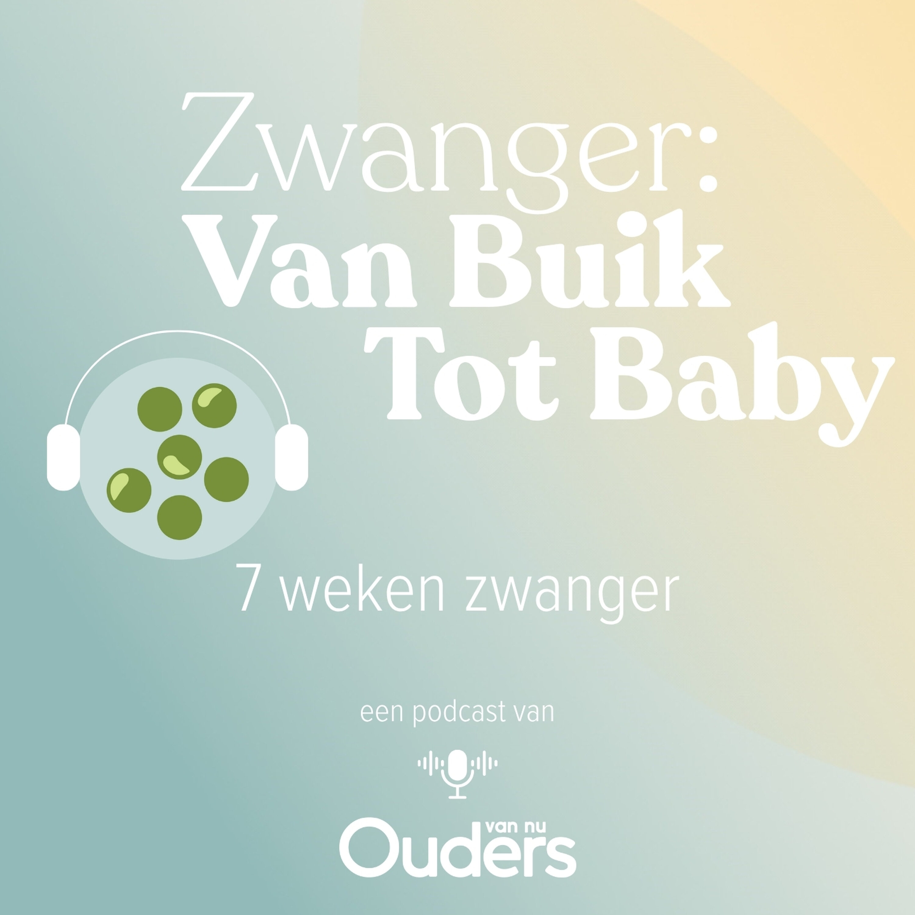 7 Weken zwanger: Kennismaken met je verloskundige
