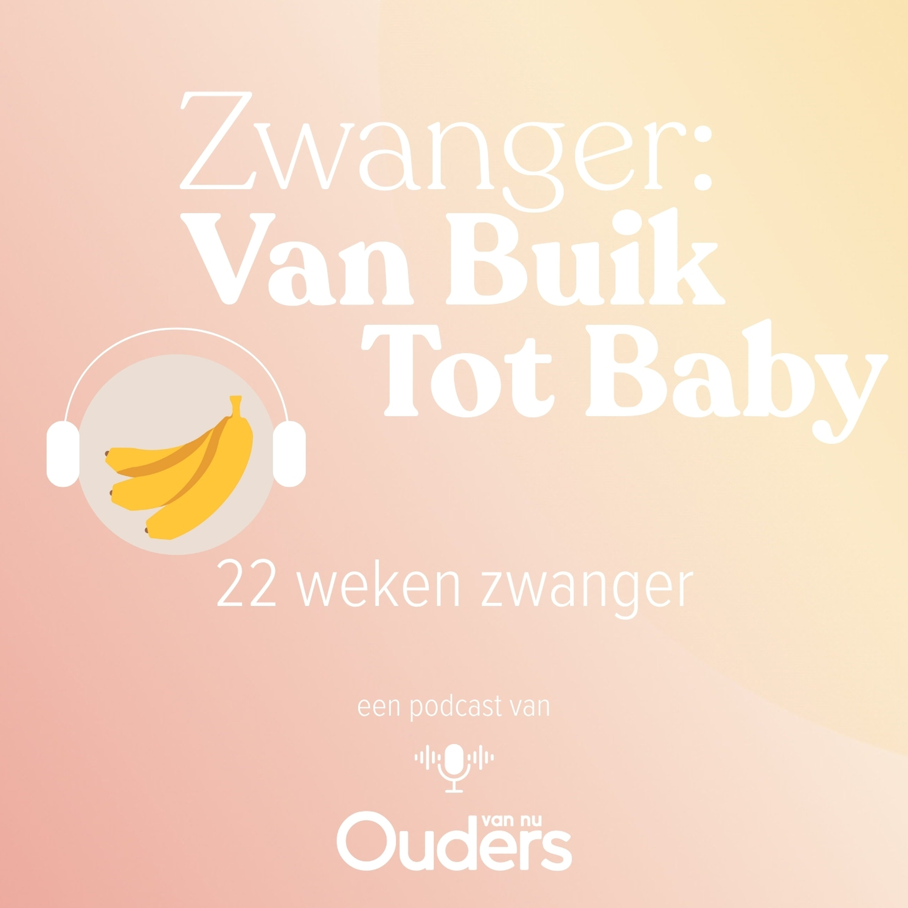 22 Weken zwanger: Prikken, plannen en pauzeren