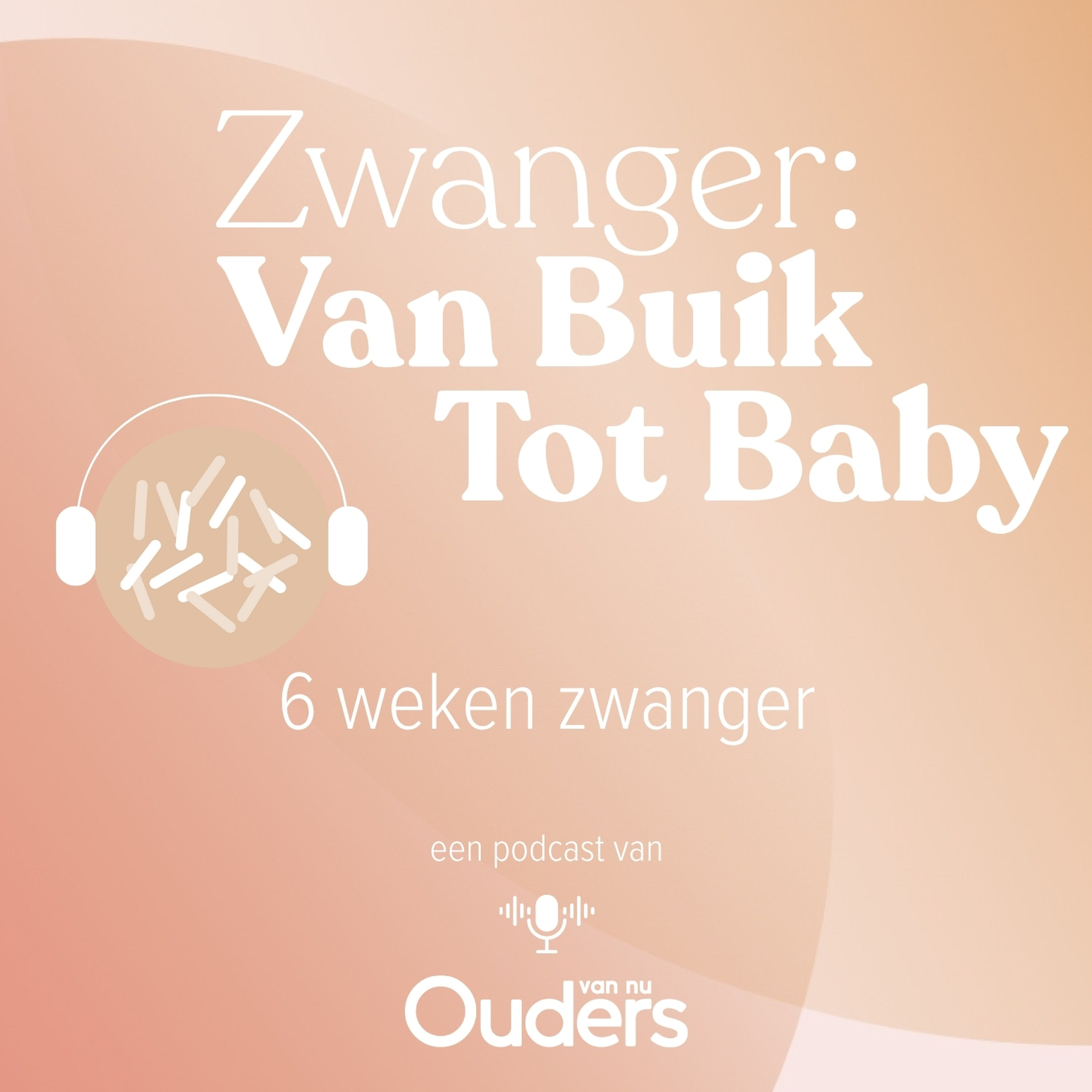 6 Weken zwanger: De vitaliteitsecho