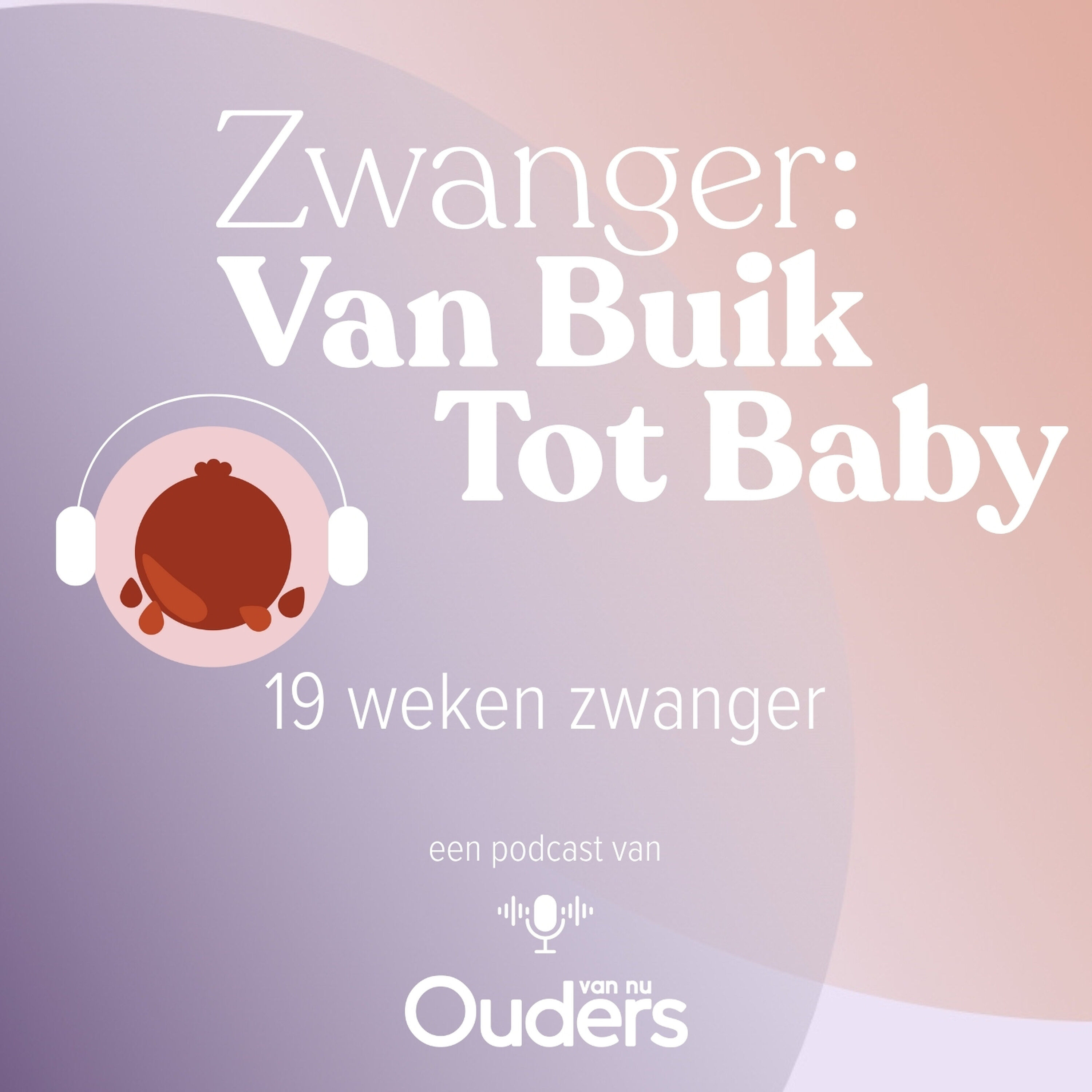 19 Weken zwanger: De 20-wekenecho