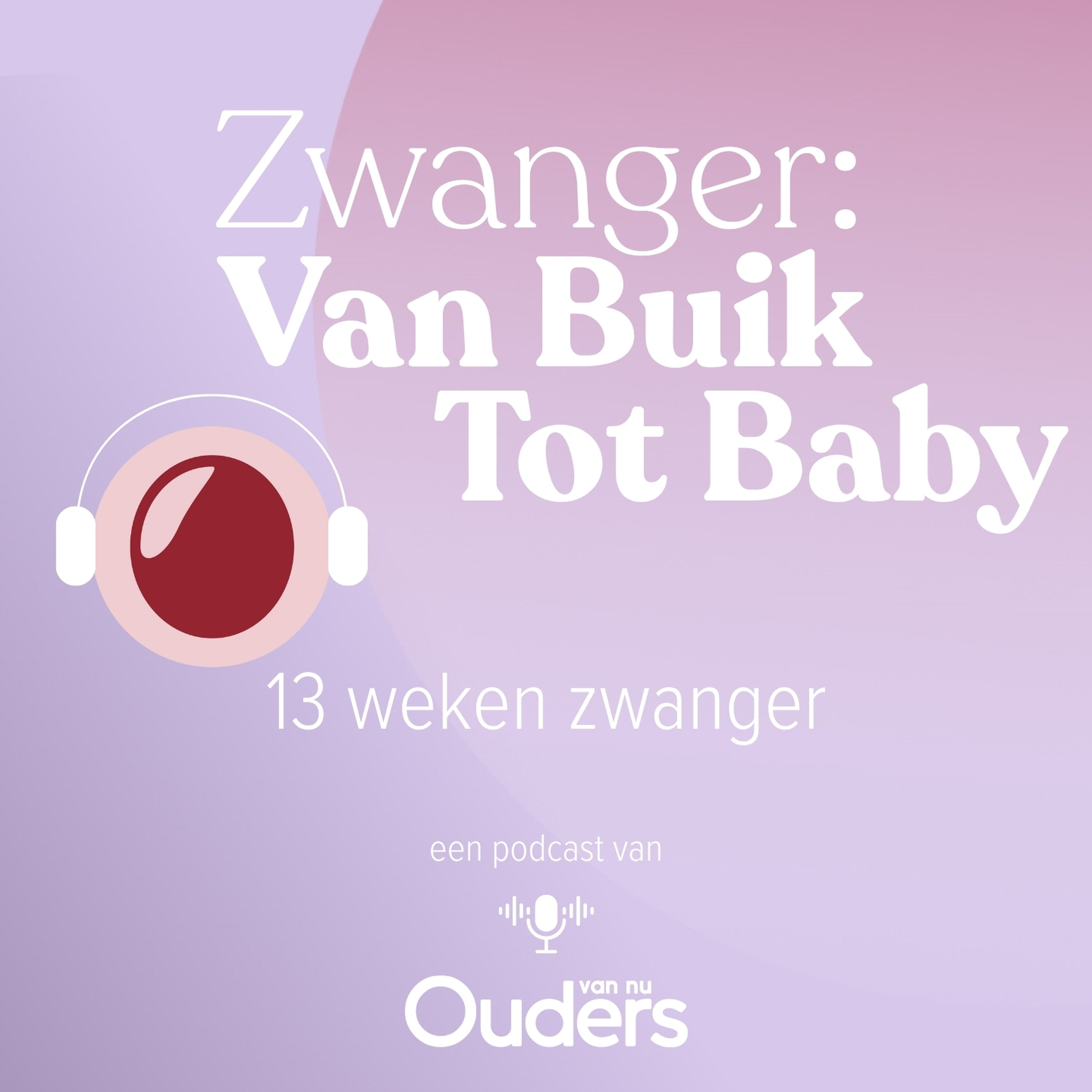 13 Weken zwanger: Wil jij het weten?