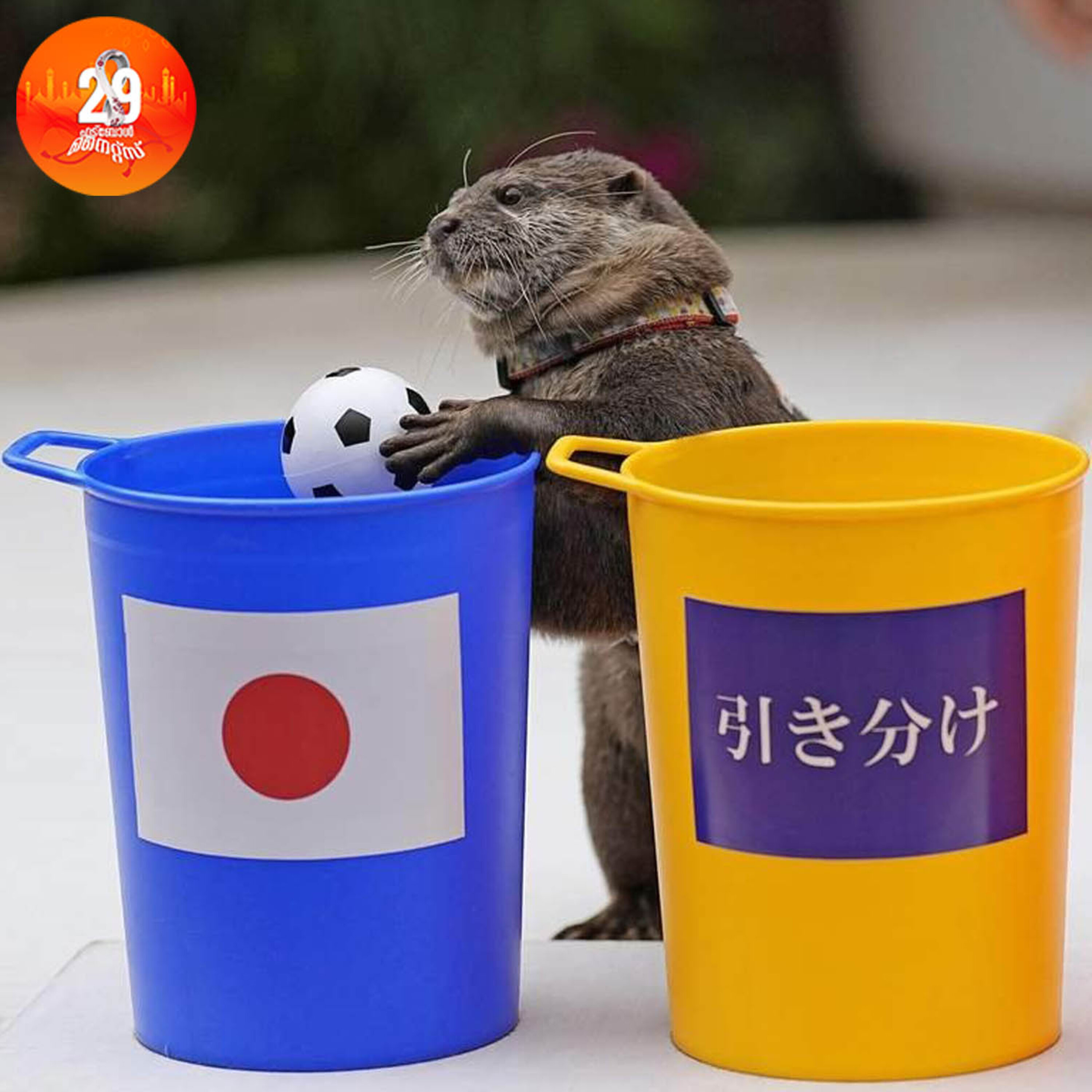 ഈ ജീവിയാണോ ജപ്പാൻ ജർമനിയെ തോൽപിച്ചതിനു പിന്നിൽ!