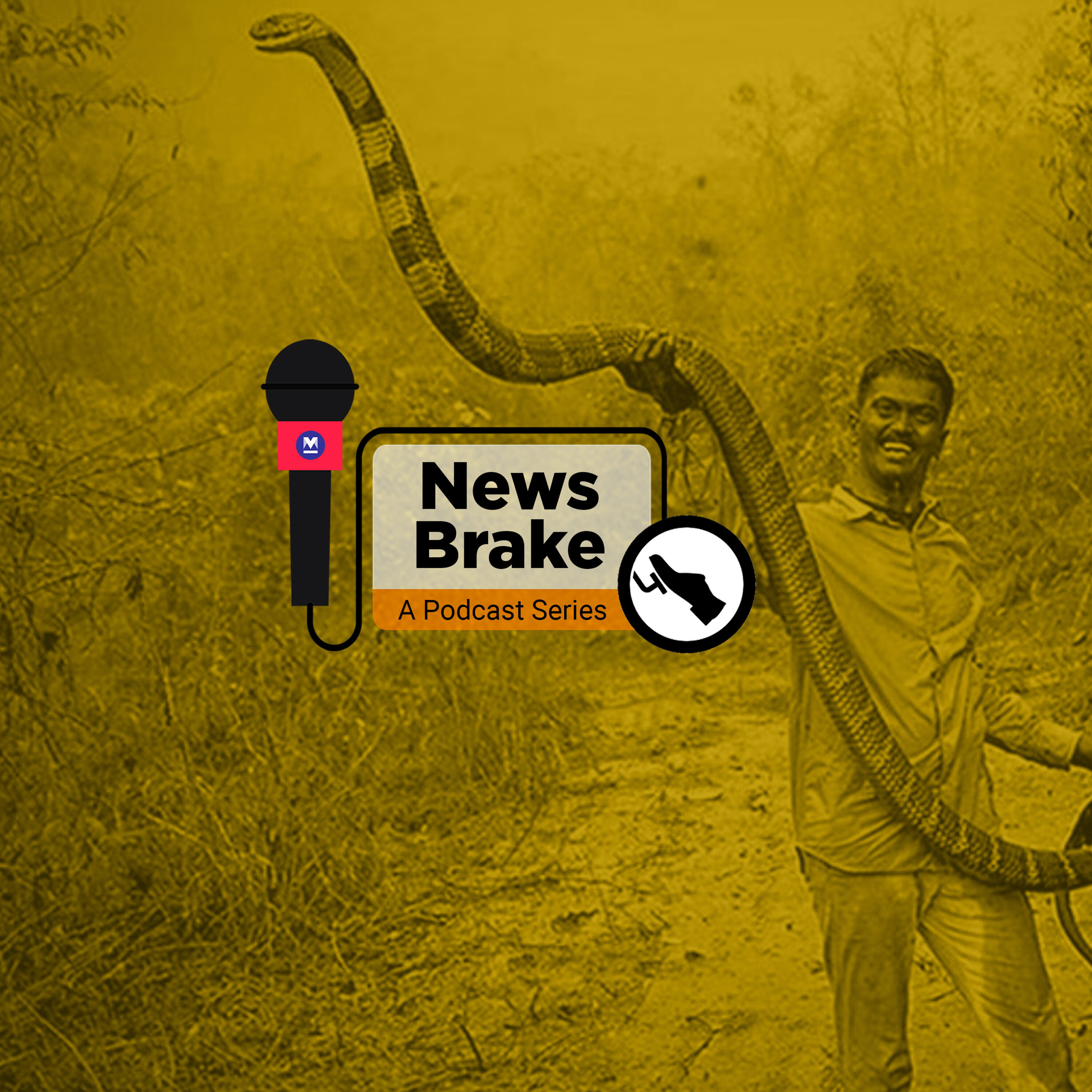 Of Vava Suresh and the right way to rescue snakes | News Brake Episode -10