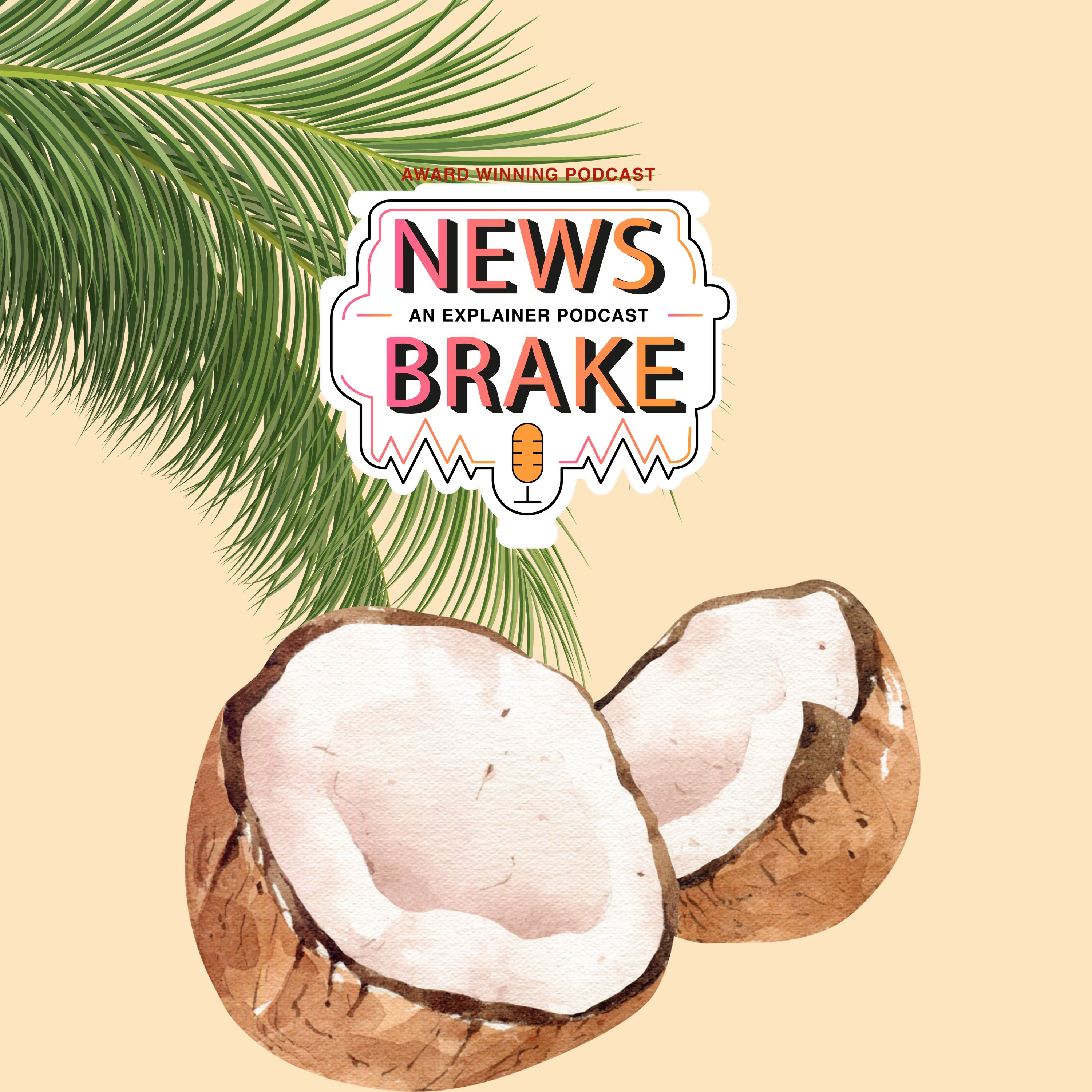 News Brake - The Explainer