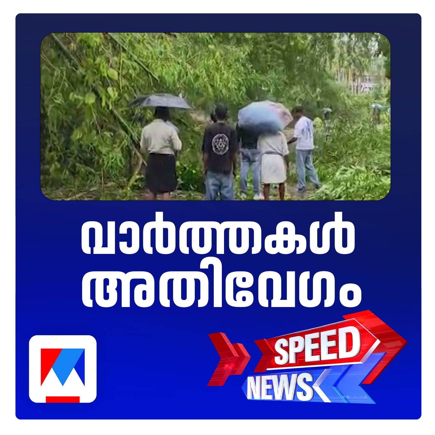 വയനാട്ടിലും കൊച്ചിയിലും ശക്തമായ വേനല്‍ മഴ; കാറ്റും ആലിപ്പഴ വര്‍ഷവും ​| സ്പീഡ് ന്യൂസ്