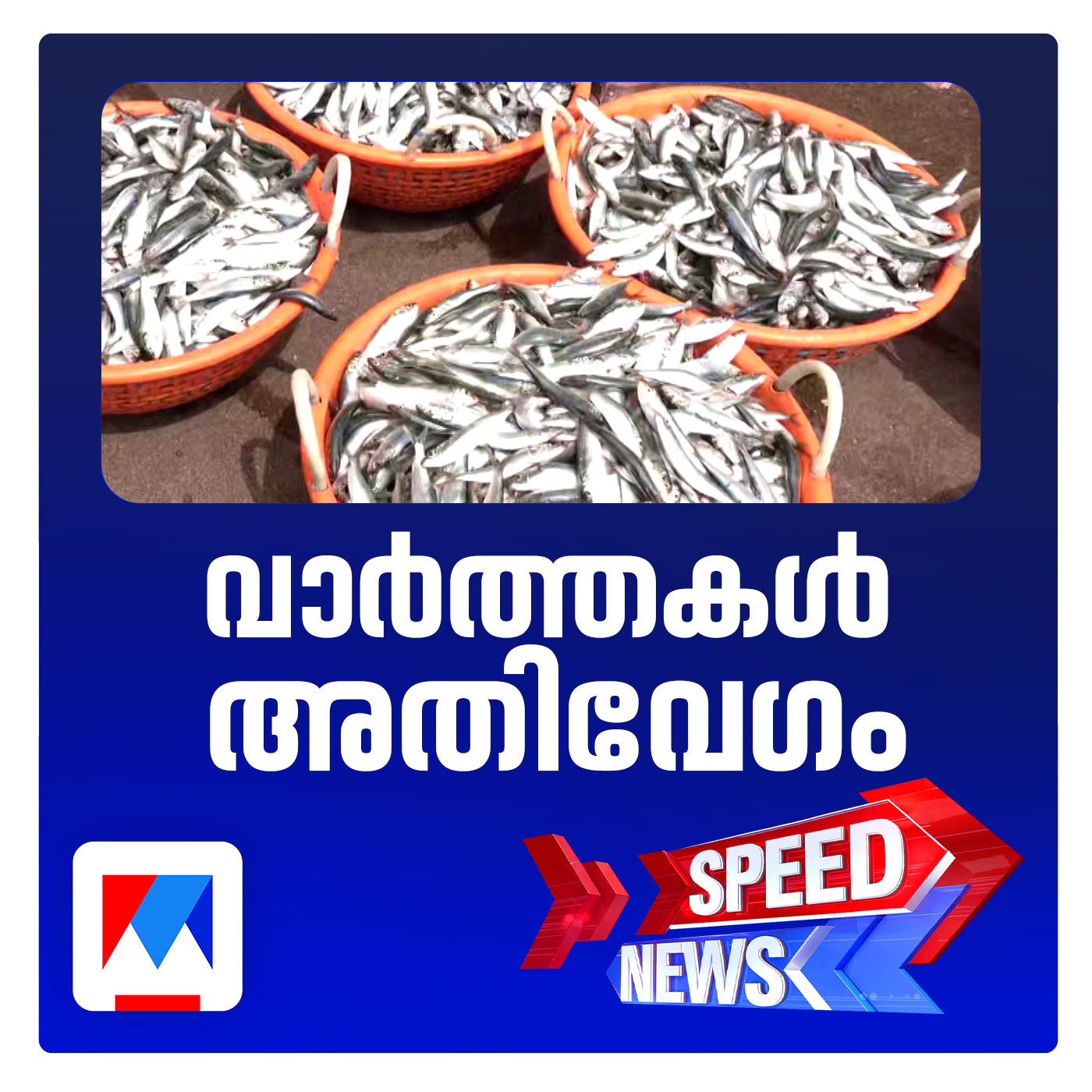 സംസ്ഥാനത്ത് മത്തി ലഭ്യത കുറയുമെന്ന് മുന്നറിയിപ്പ്; സ്പീഡ് ന്യൂസ്