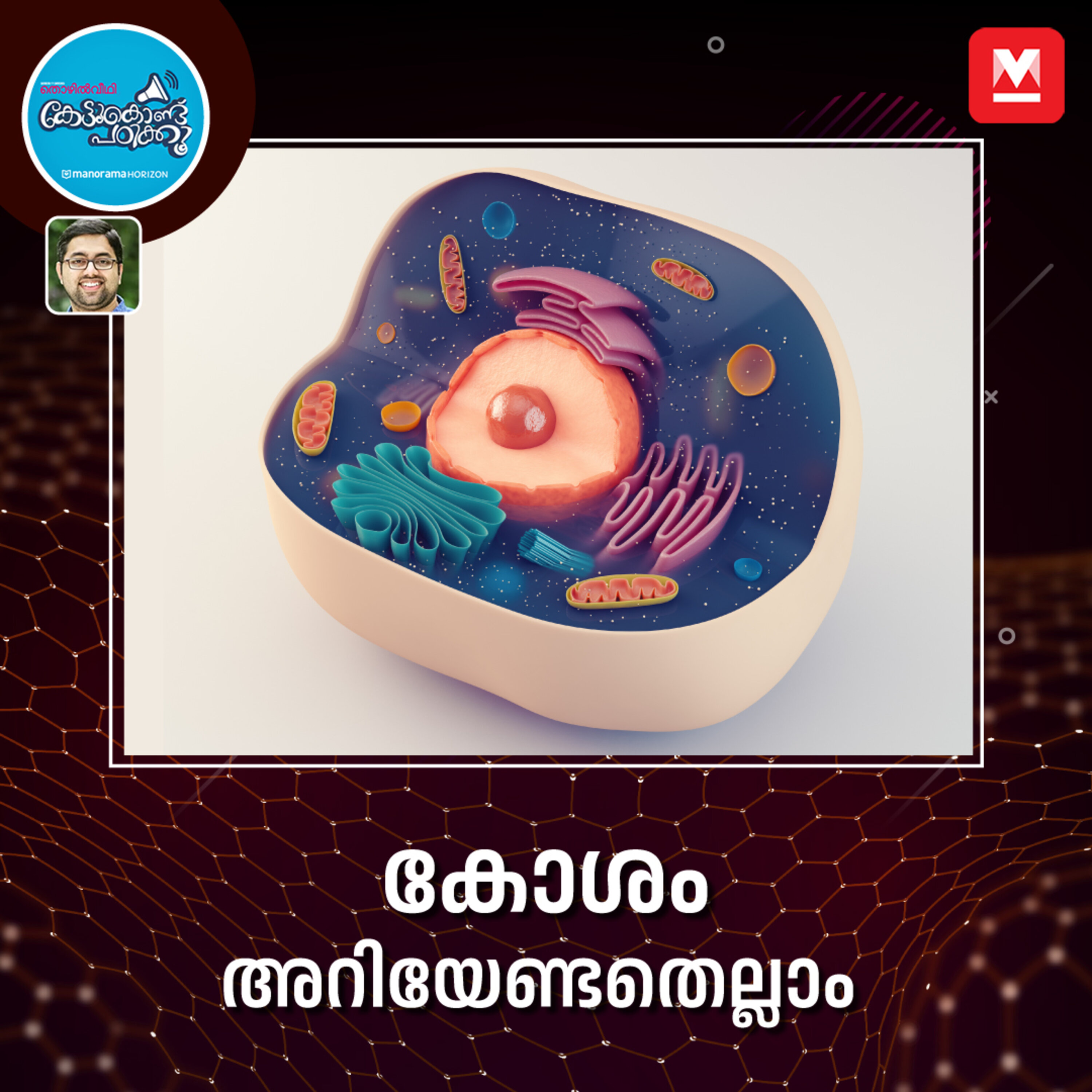 കോശങ്ങളുടെ വിശേഷങ്ങൾ episode artwork