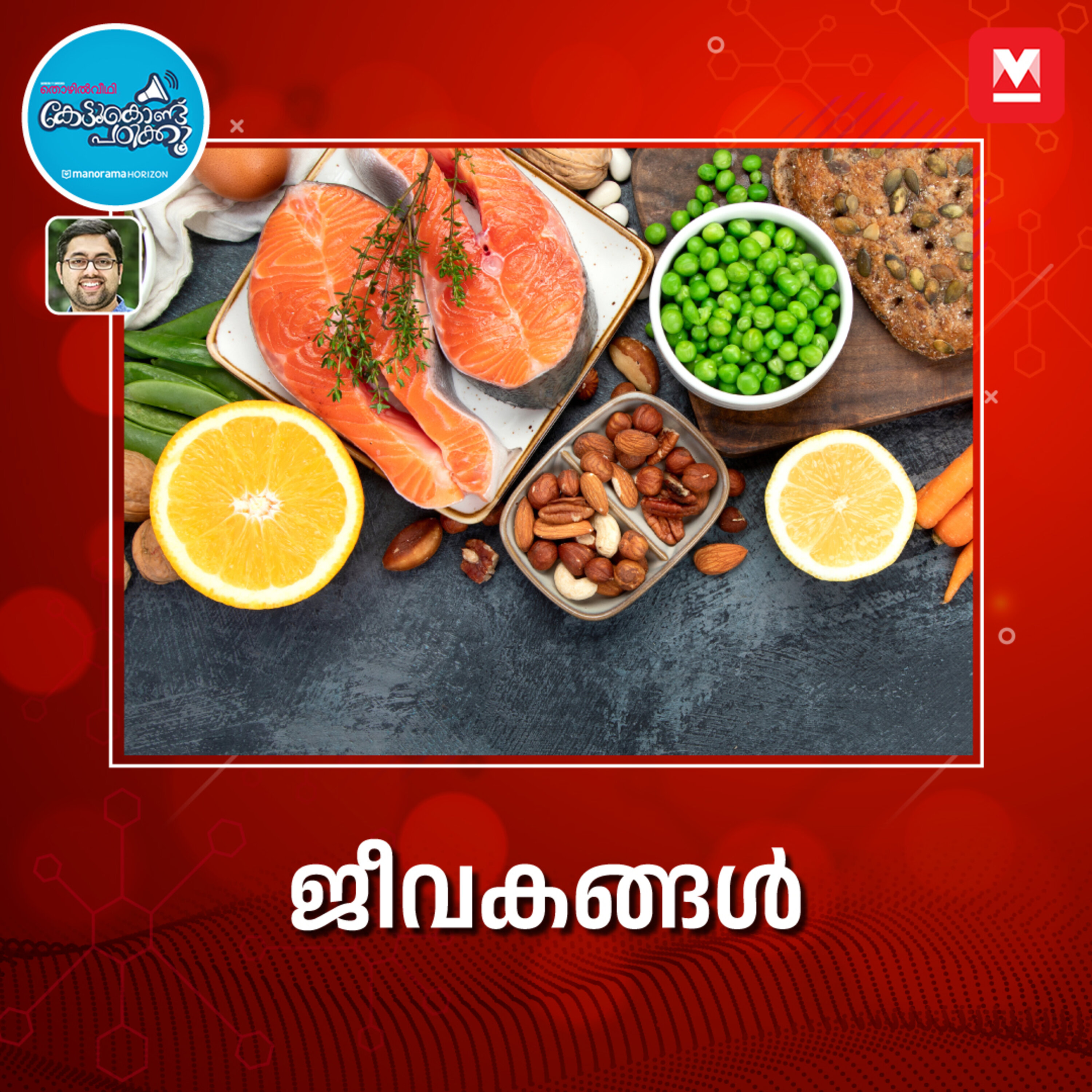 ജീവകങ്ങൾ അഥവാ വിറ്റാമിനുകൾ episode artwork