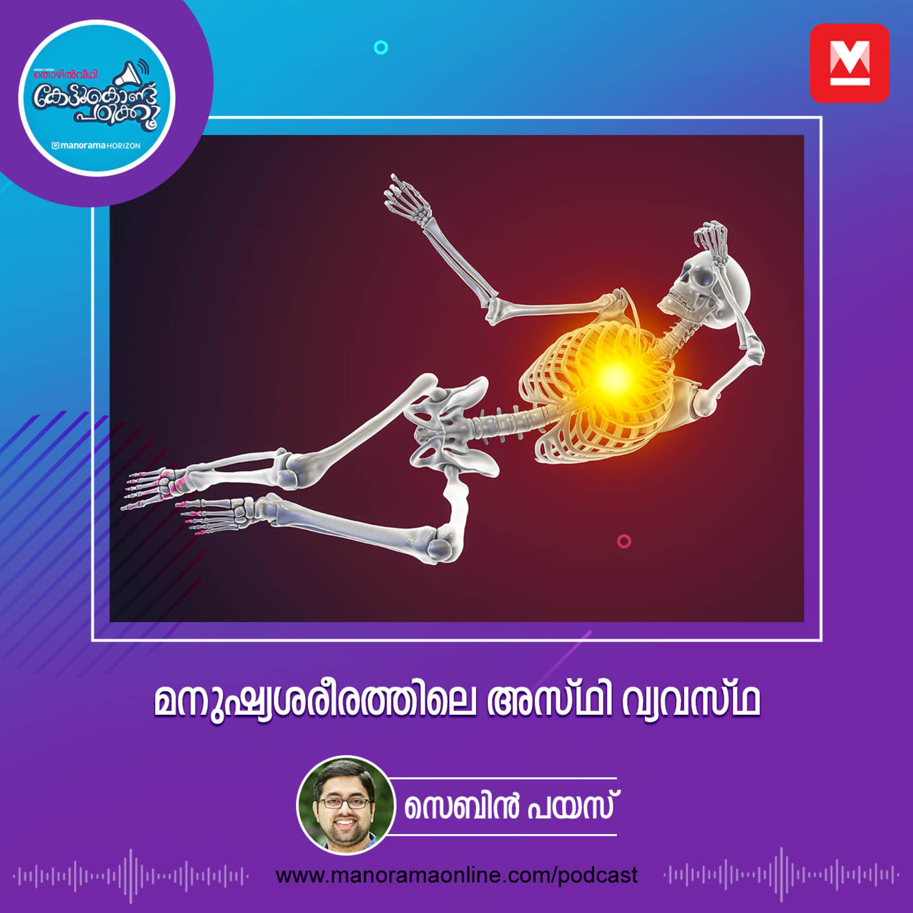 മനുഷ്യശരീരത്തിലെ അസ്ഥി വ്യവസ്ഥ episode artwork