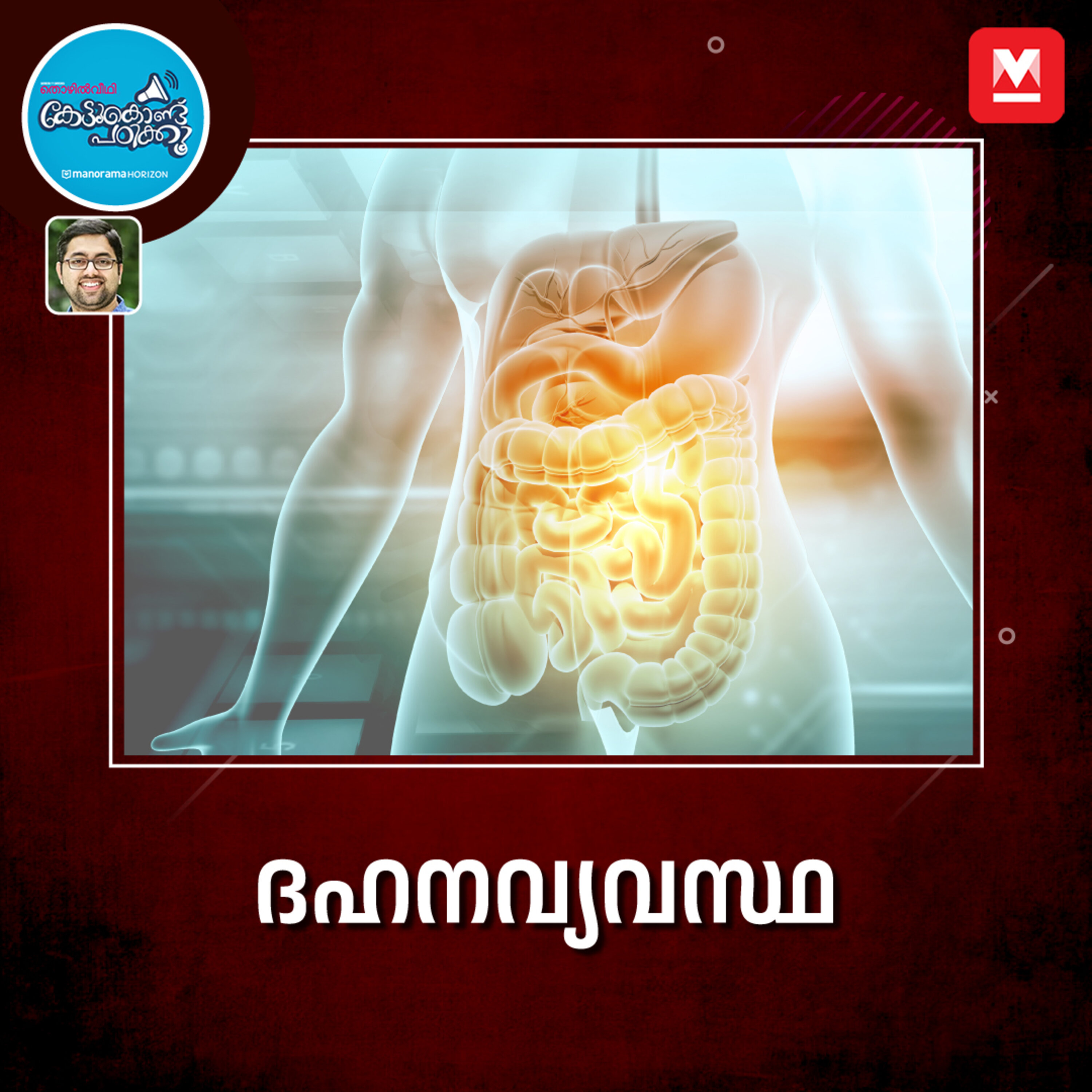 ദഹനവ്യവസ്ഥ ഒറ്റ നോട്ടത്തിൽ episode artwork