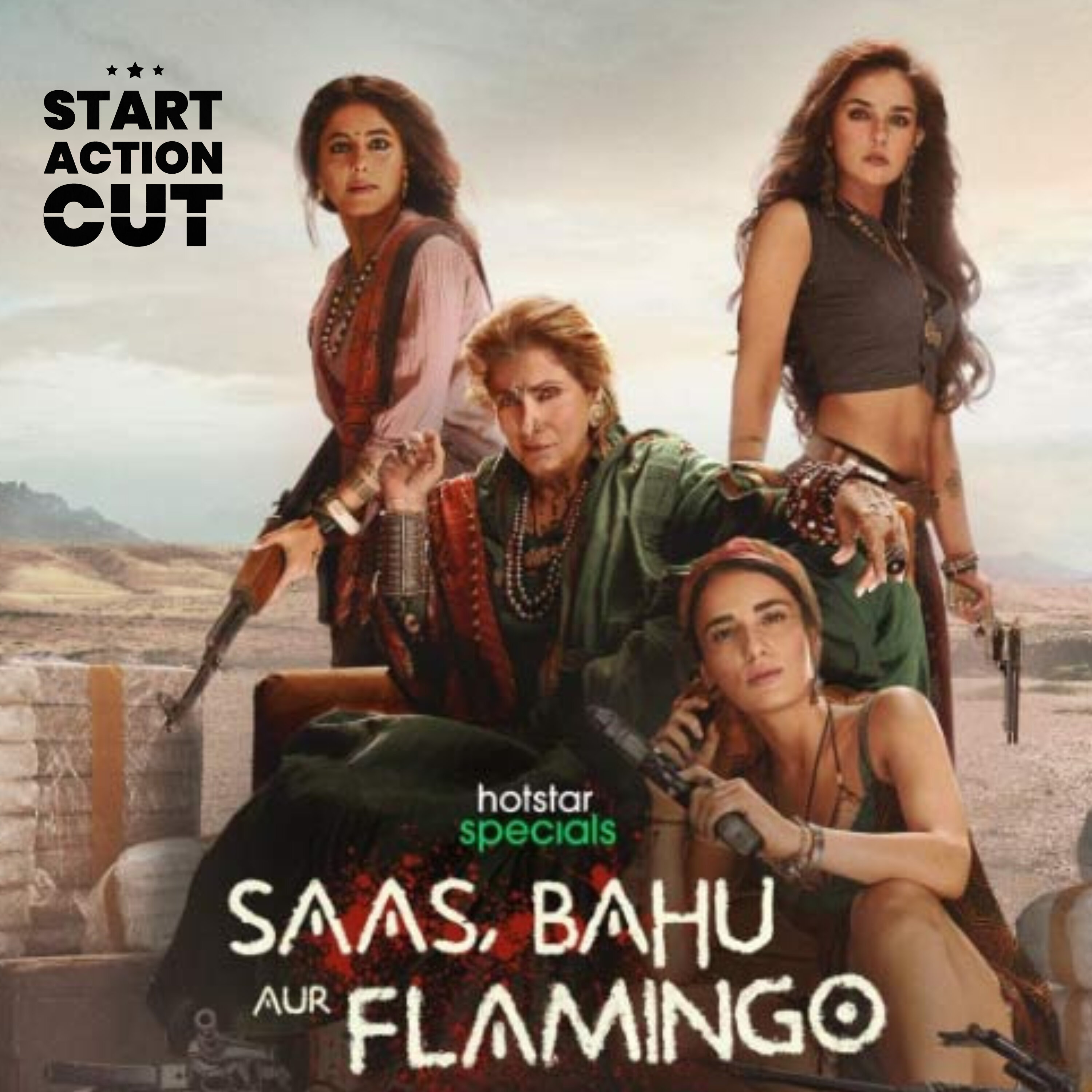 Saas Bahu Aur Flamingo (2023)