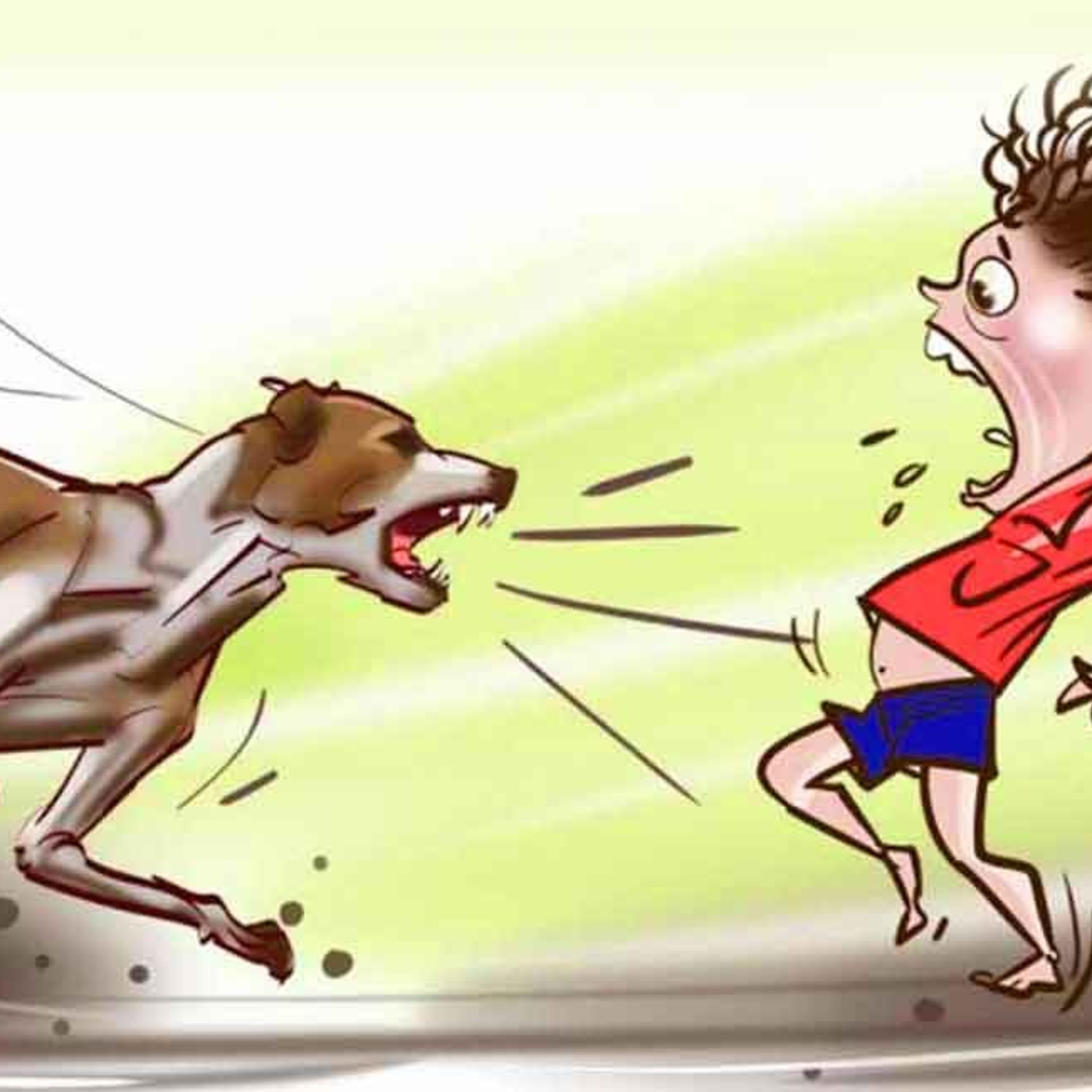 ആരാധകരെ ശാന്തരാകുവിൻ പുറത്തെല്ലാം നായ്ക്കളുണ്ട്!