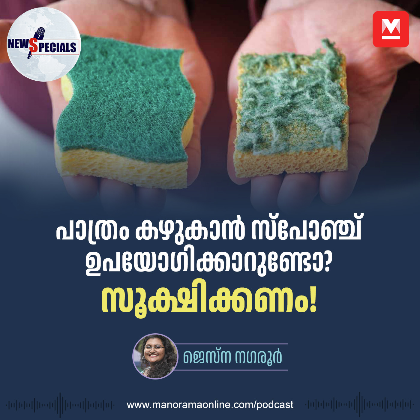 സ്പോഞ്ച് ഉപയോഗിച്ചാണോ പാത്രം കഴുകുന്നത്? സൂക്ഷിക്കണം! episode artwork
