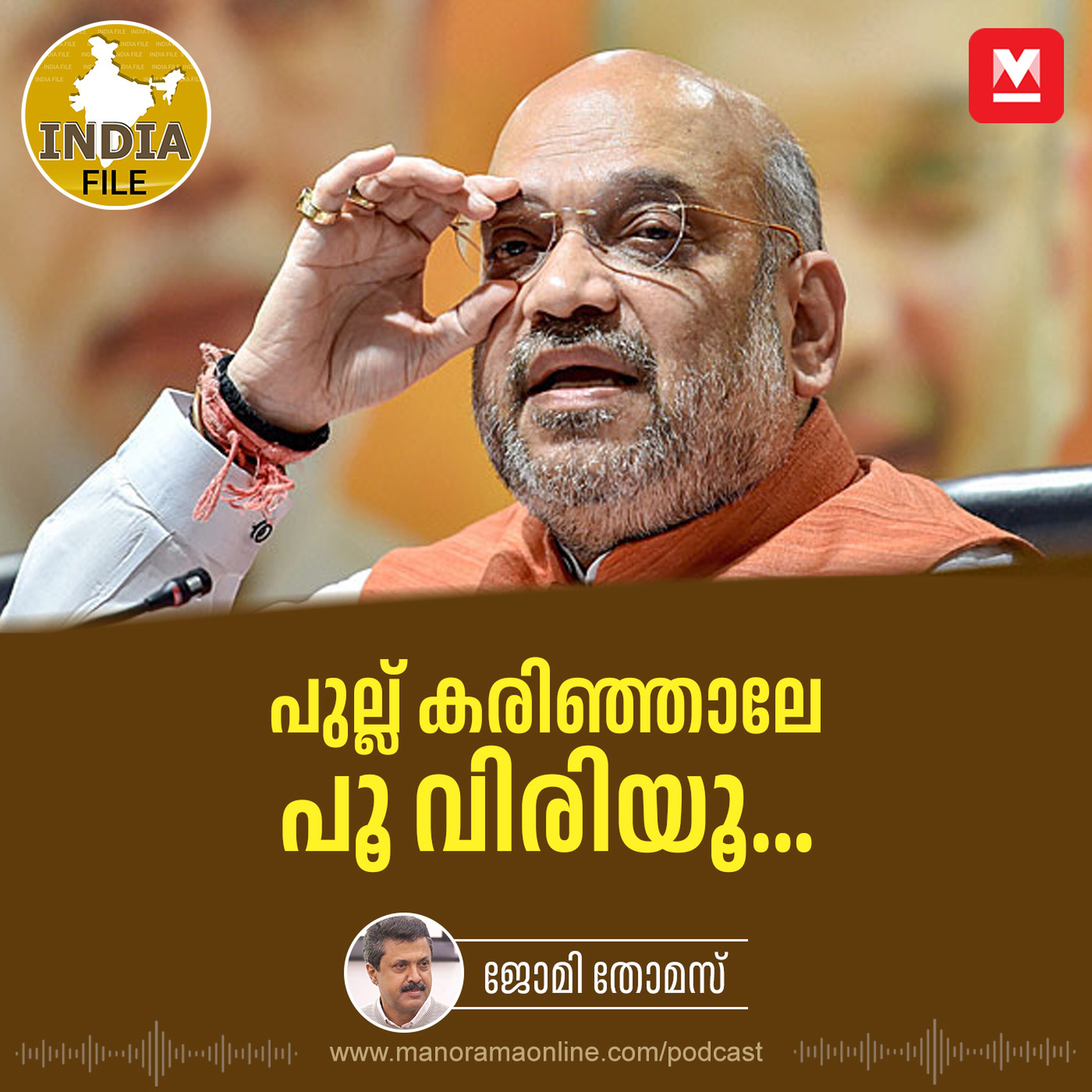 പുല്ല് കരിഞ്ഞാലേ പൂ വിരിയൂ... | India File | Amit Shah and his new political move