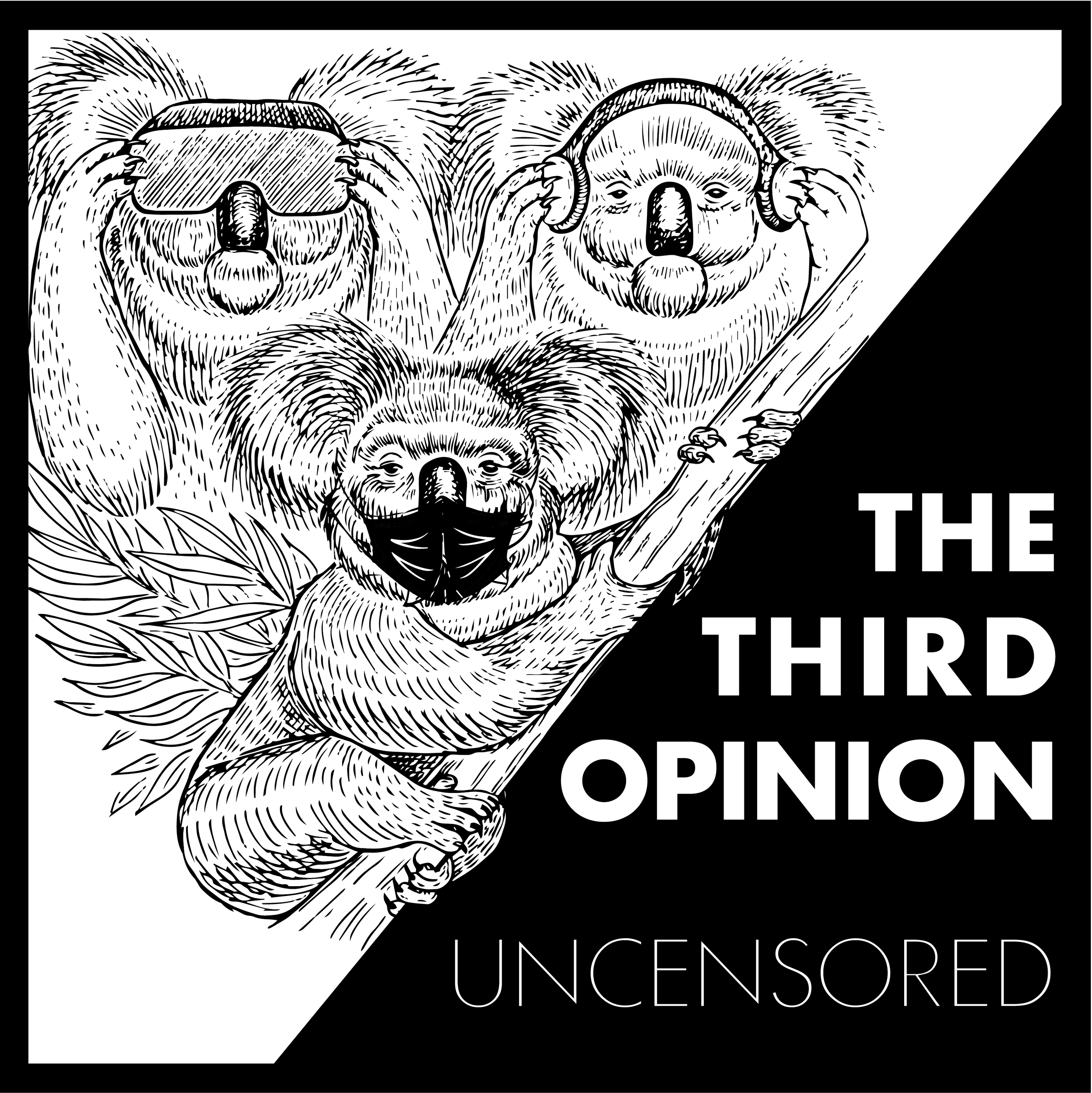 Ep. 16 - Dr Darrell Demello -The Third Opinion