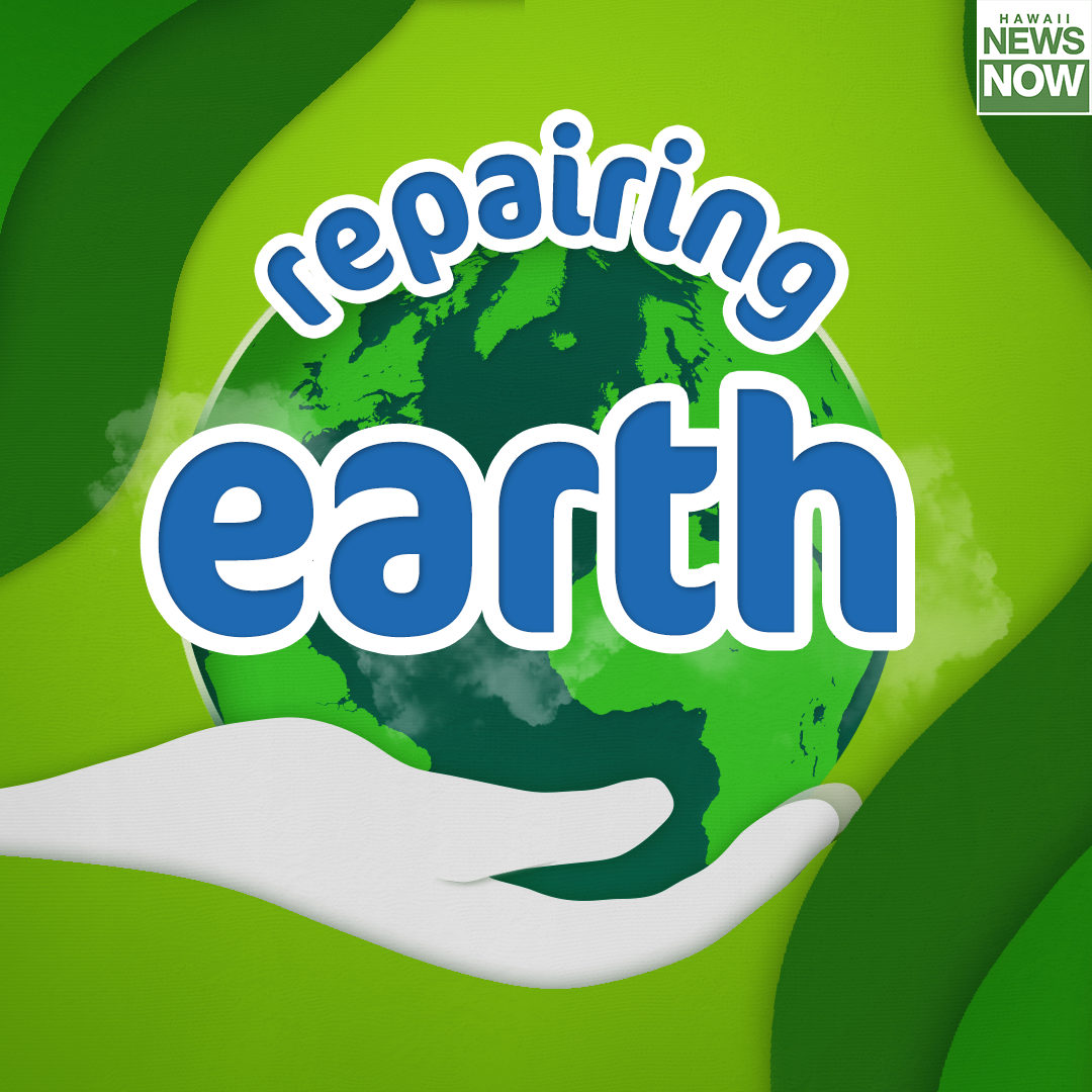 Repairing Earth (Episode 7): Your plate lunch is about to go green