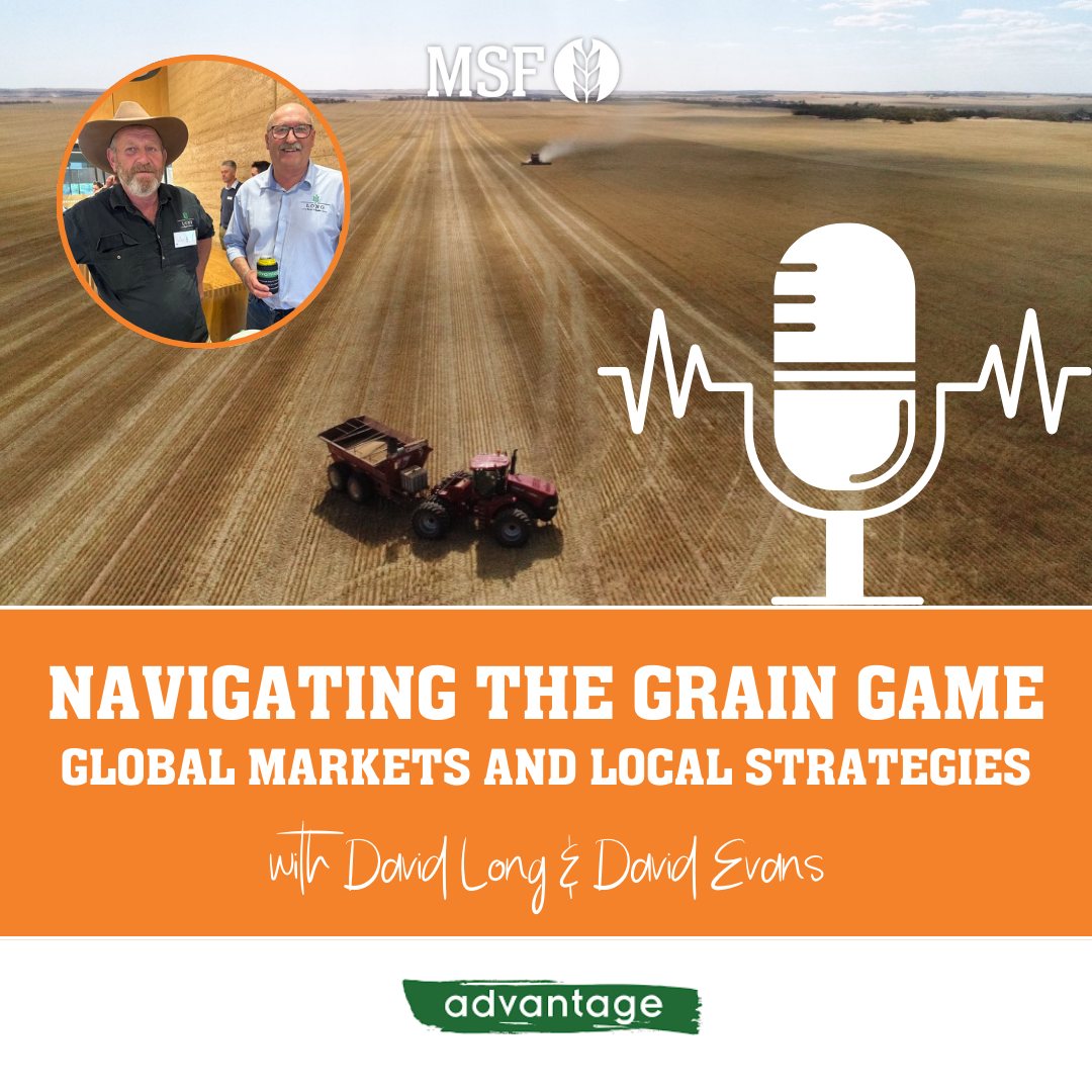 Navigating the Grain Game - Global Markets and Local Strategies