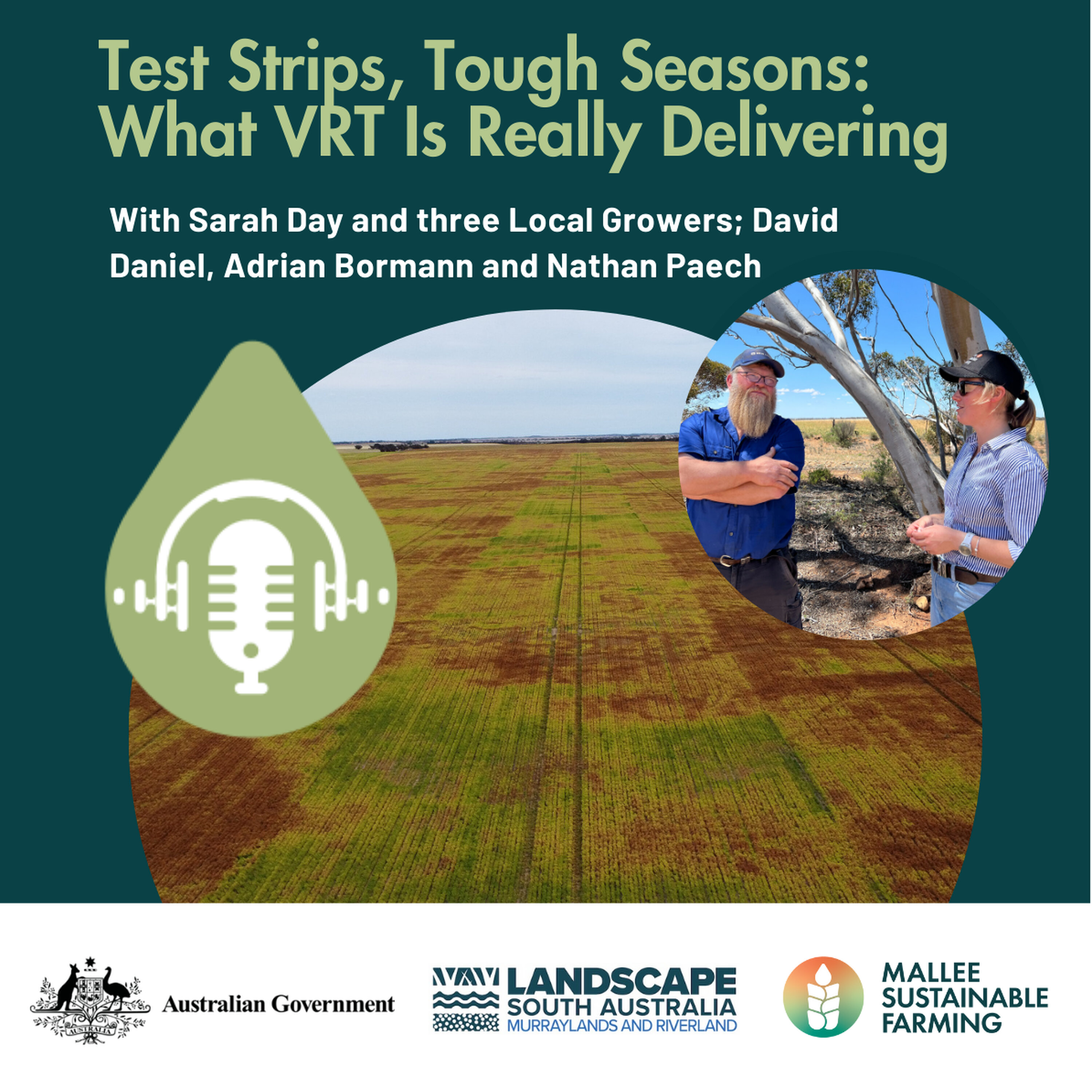 Test Strips, Tough Seasons: What VRT Is Really Delivering Test Strips, Tough Seasons: What VRT Is Really Delivering