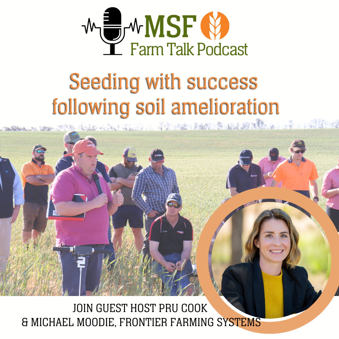 Seeding with success following soil amelioration