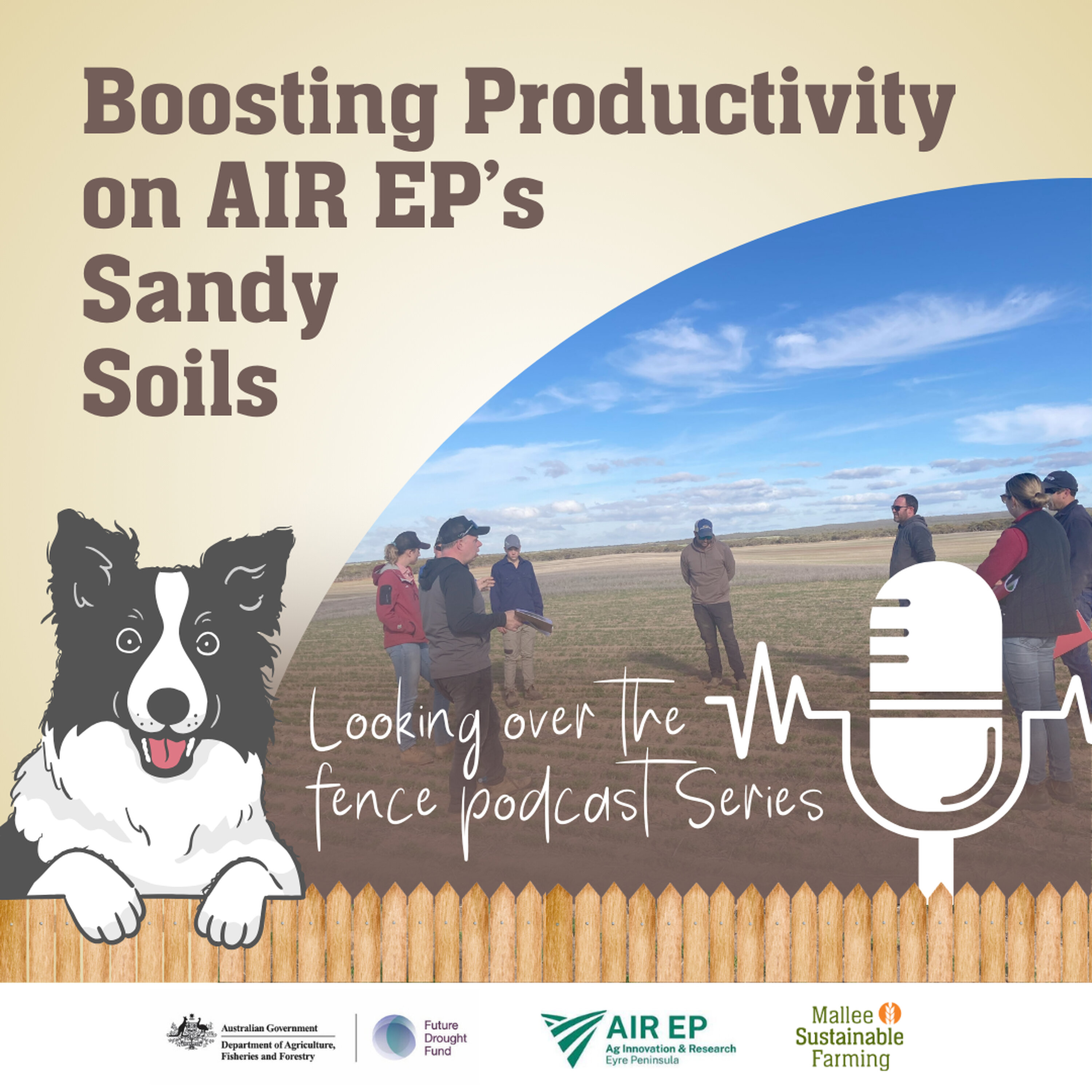 Boosting Productivity on AIR EP's Sandy Soils episode artwork