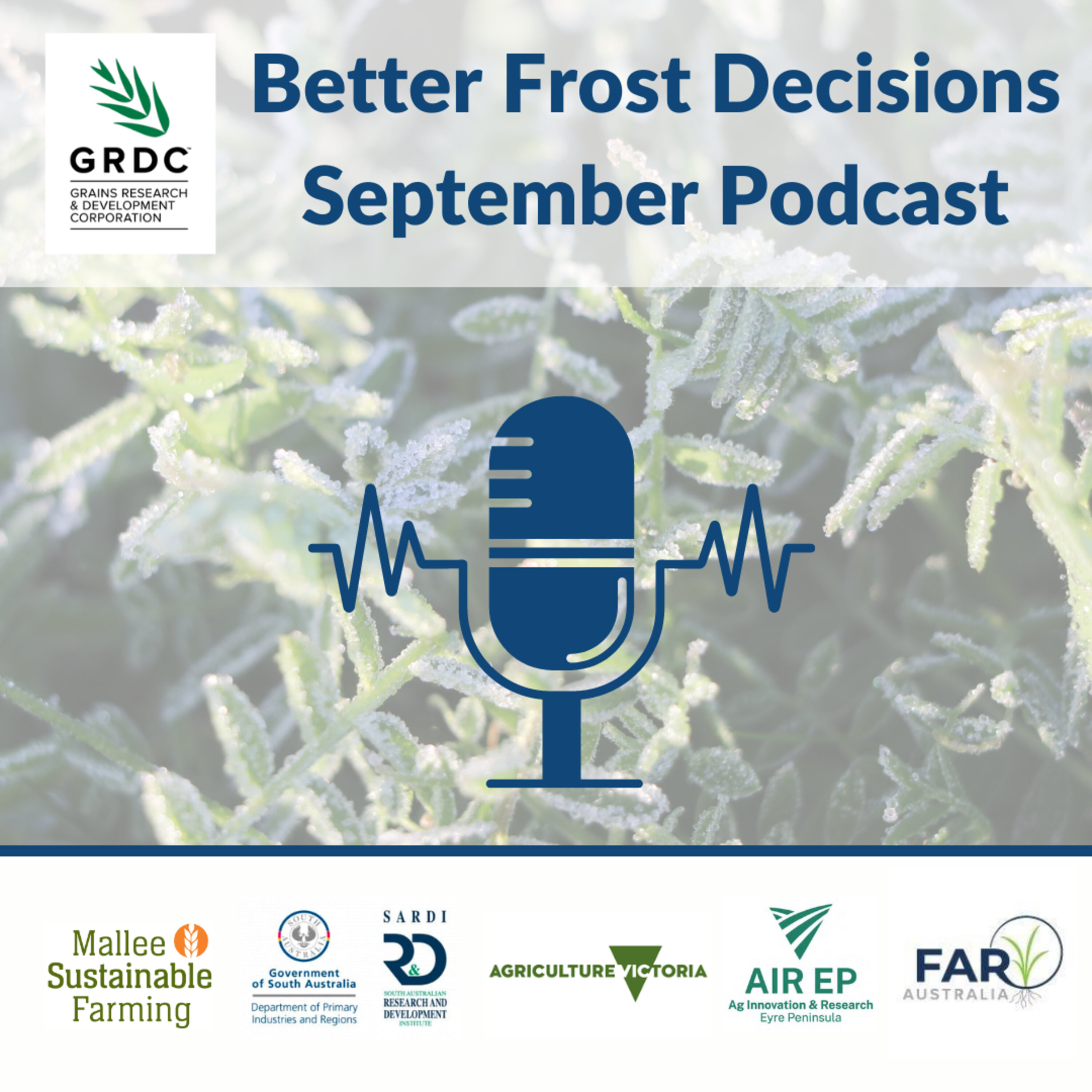 Better Frost Decisions September 2022