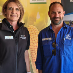 What's in the pipeline for GM with Jamie Wilson, Pioneer Seeds Aus.