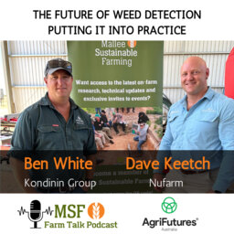 The future of weed detection - putting it into practice