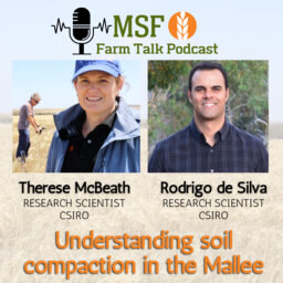 Understanding soil compaction in the Mallee