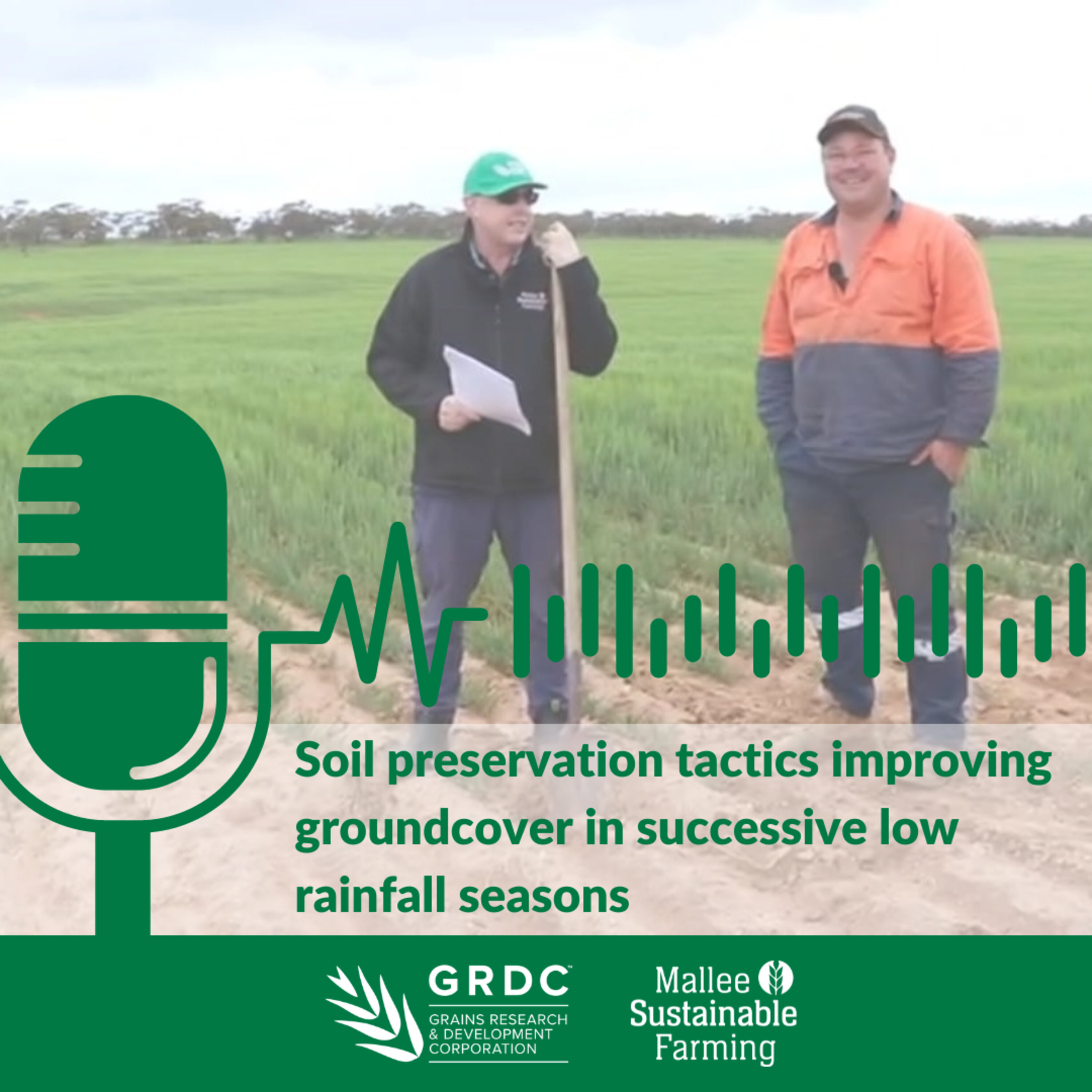 Soil preservation tactics in successive low rainfall seasons with Chris Hunt