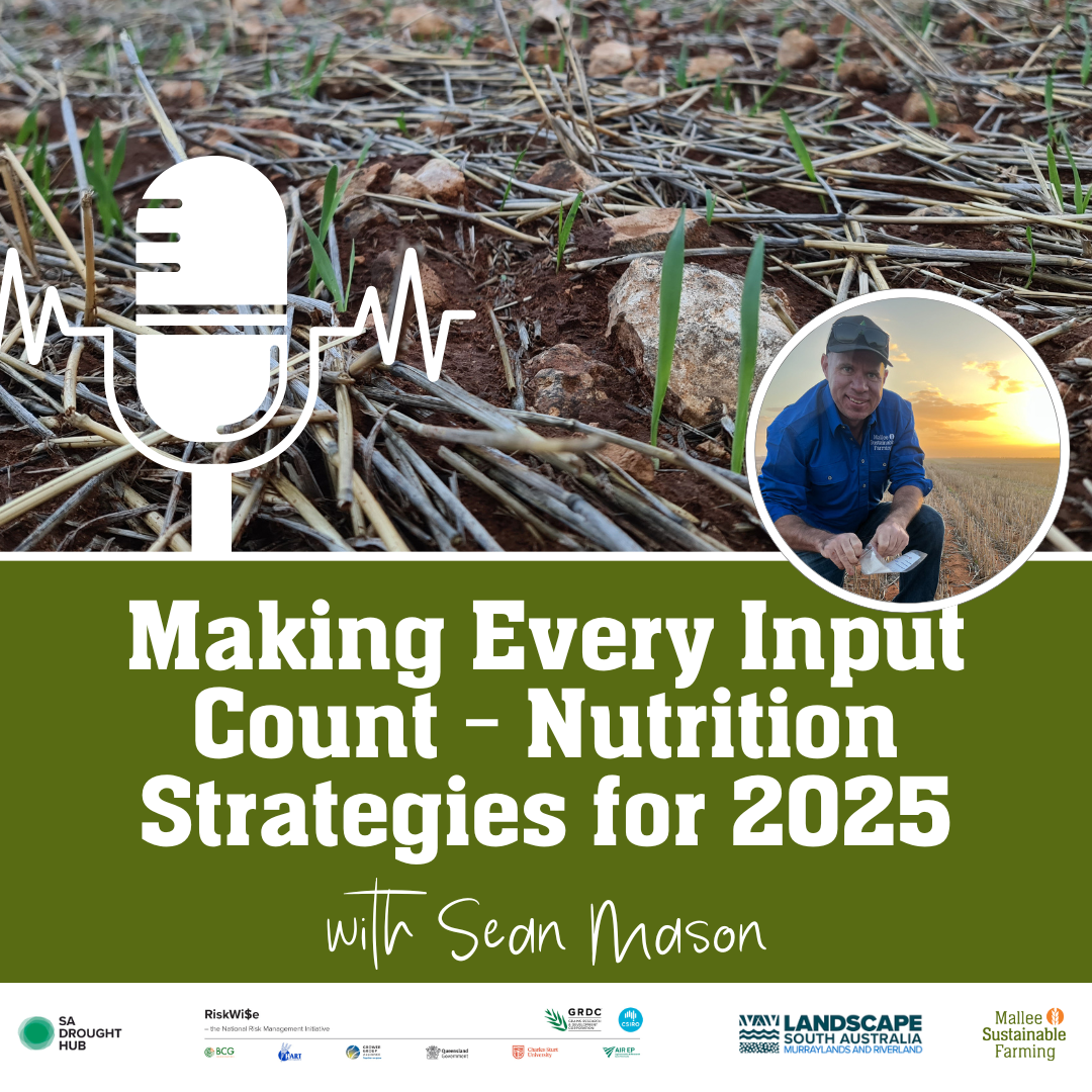 Making Every Input Count - Nutrition Strategies for 2025