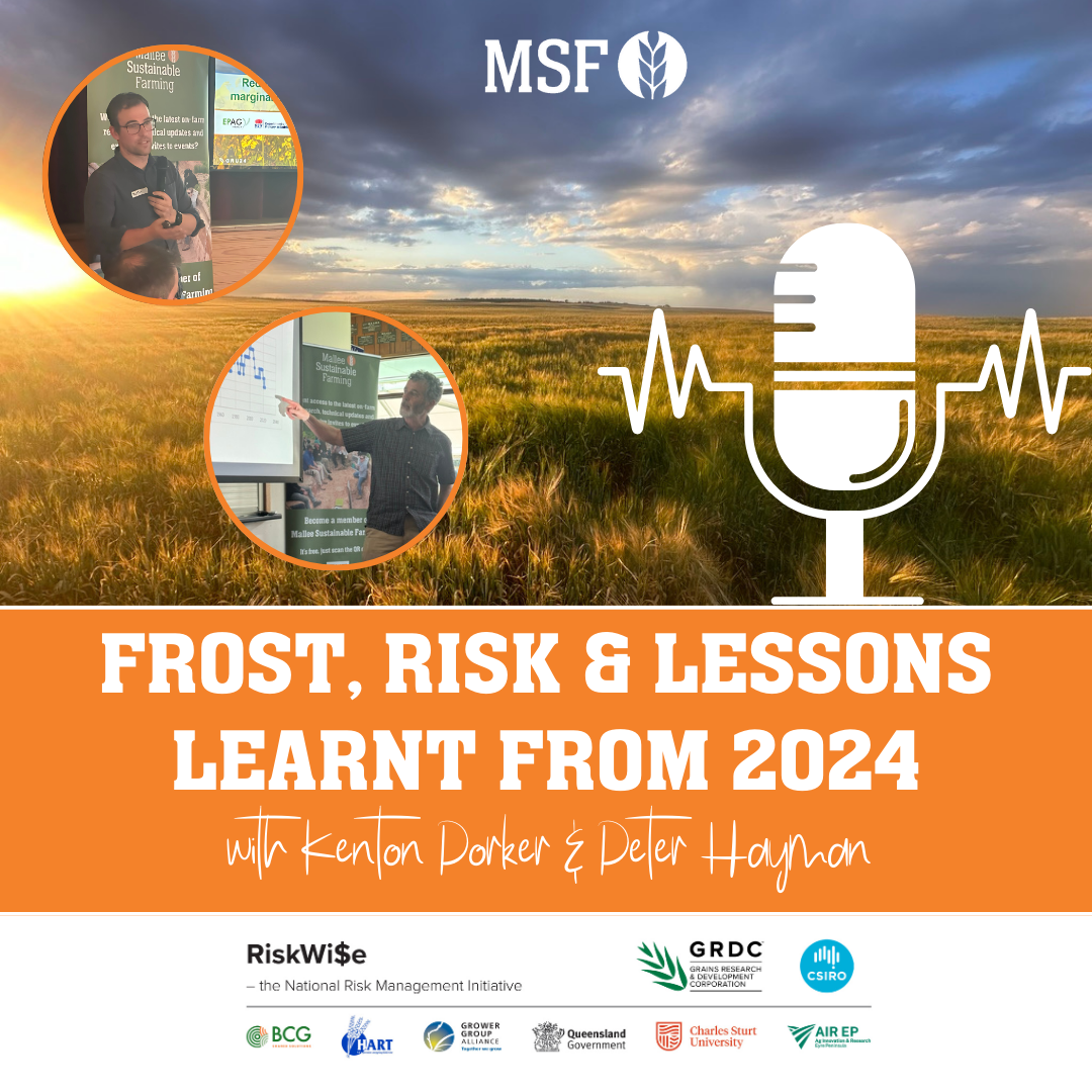 Frost, Risk and Lessons Learnt from 2024