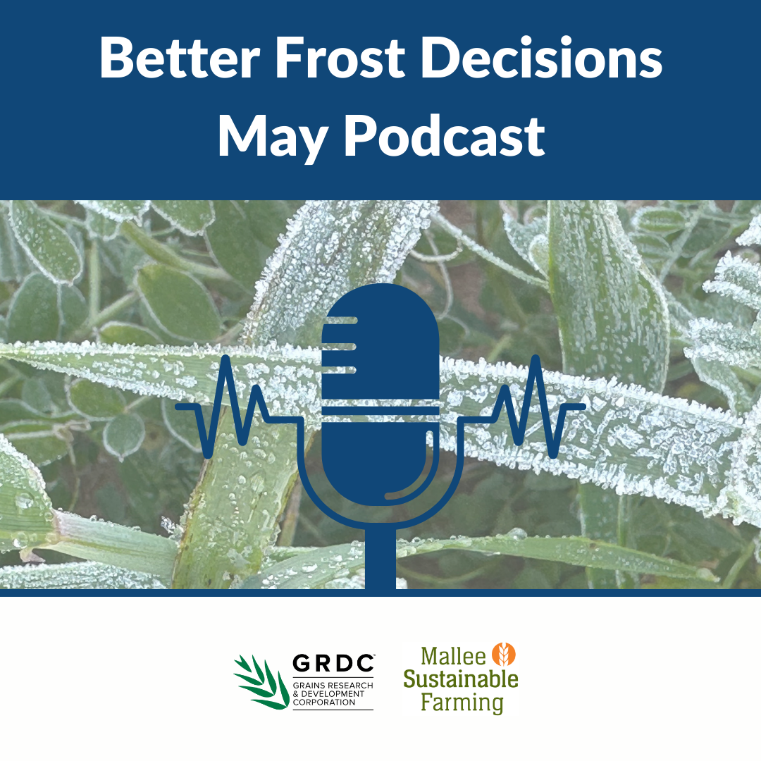 Autumn Climate Driver Conversations with Peter Hayman and the use of climate information to assist with making Better Frost Decisions