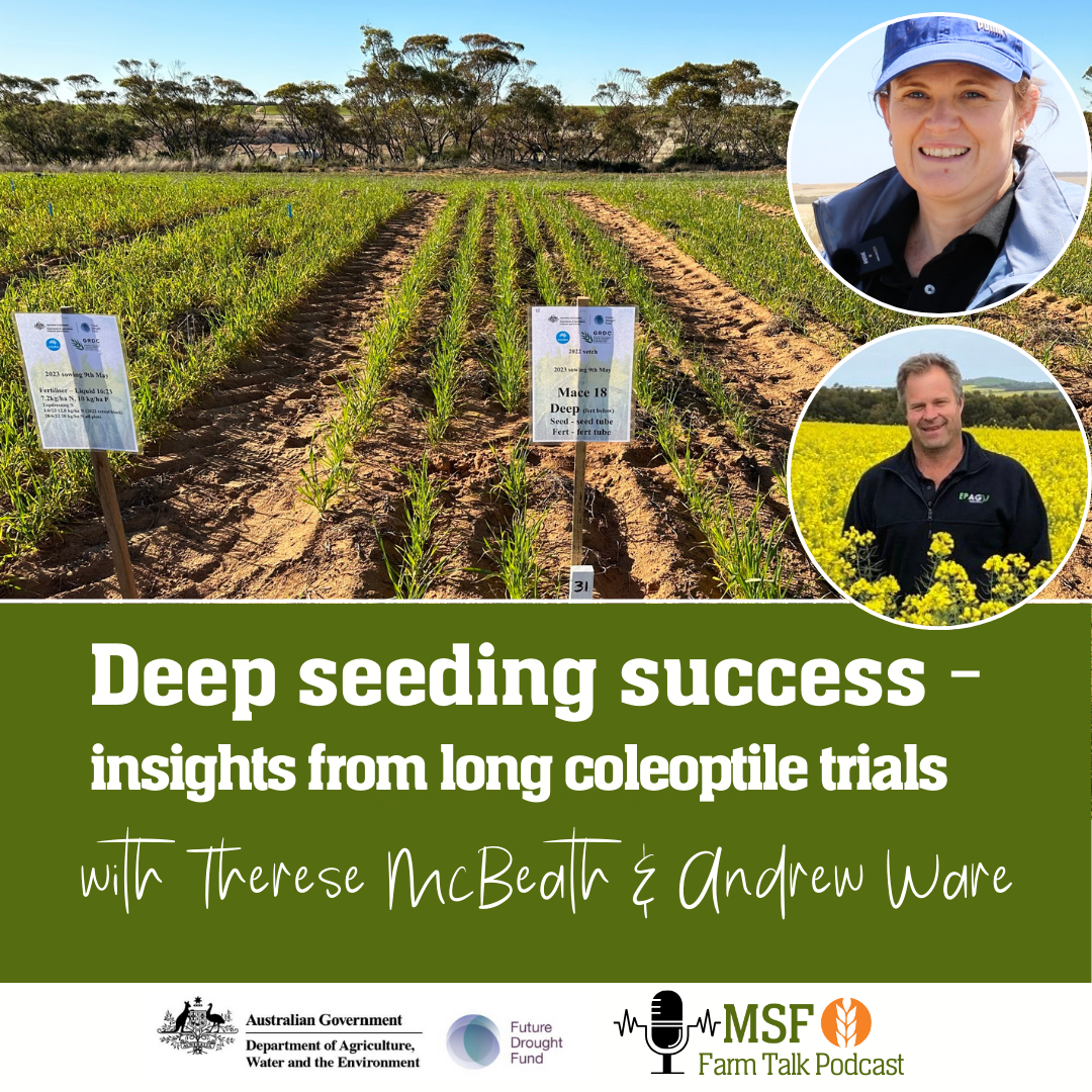 Deep seeding success - insights from long coleoptile trials