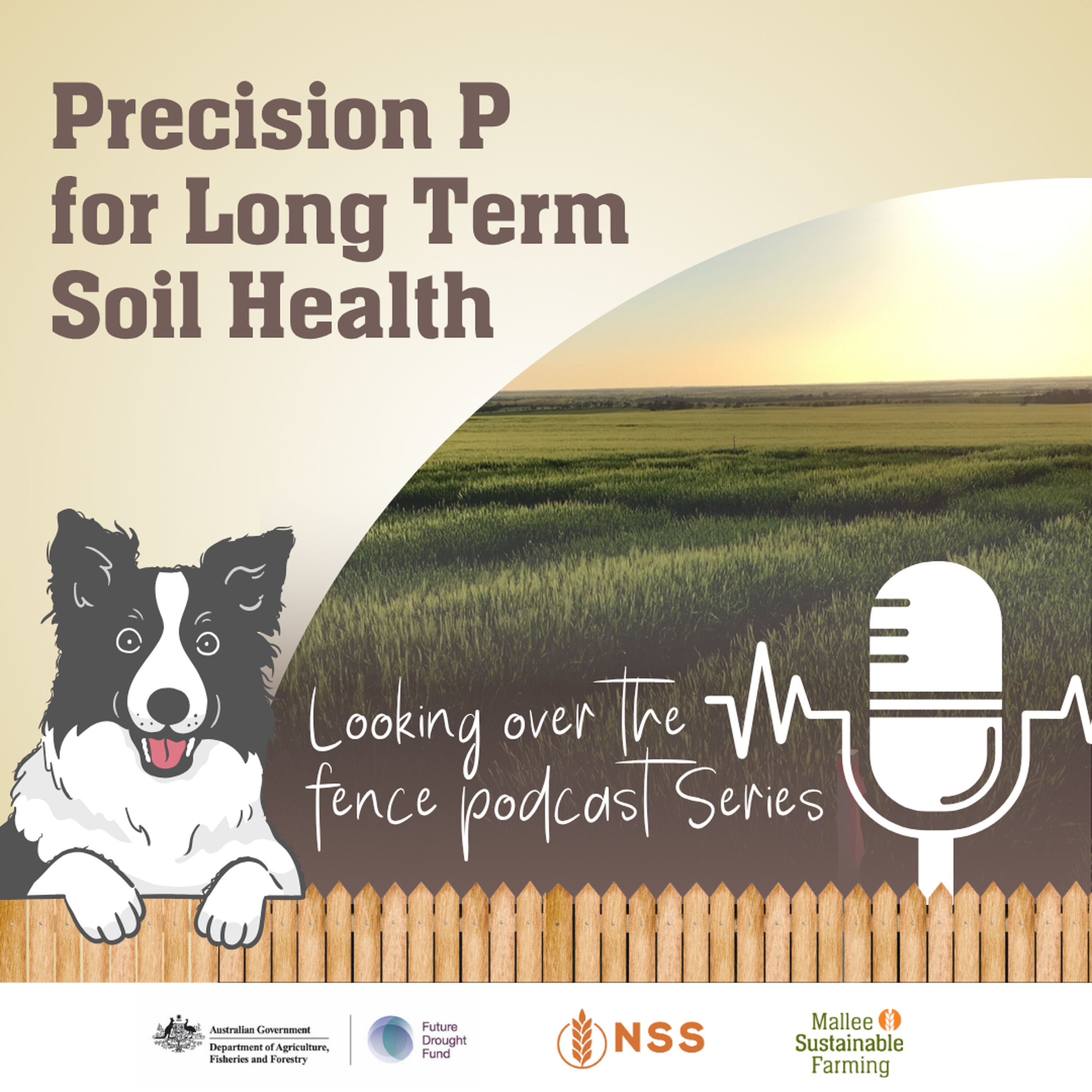 Precision P for Long Term Soil Health episode artwork