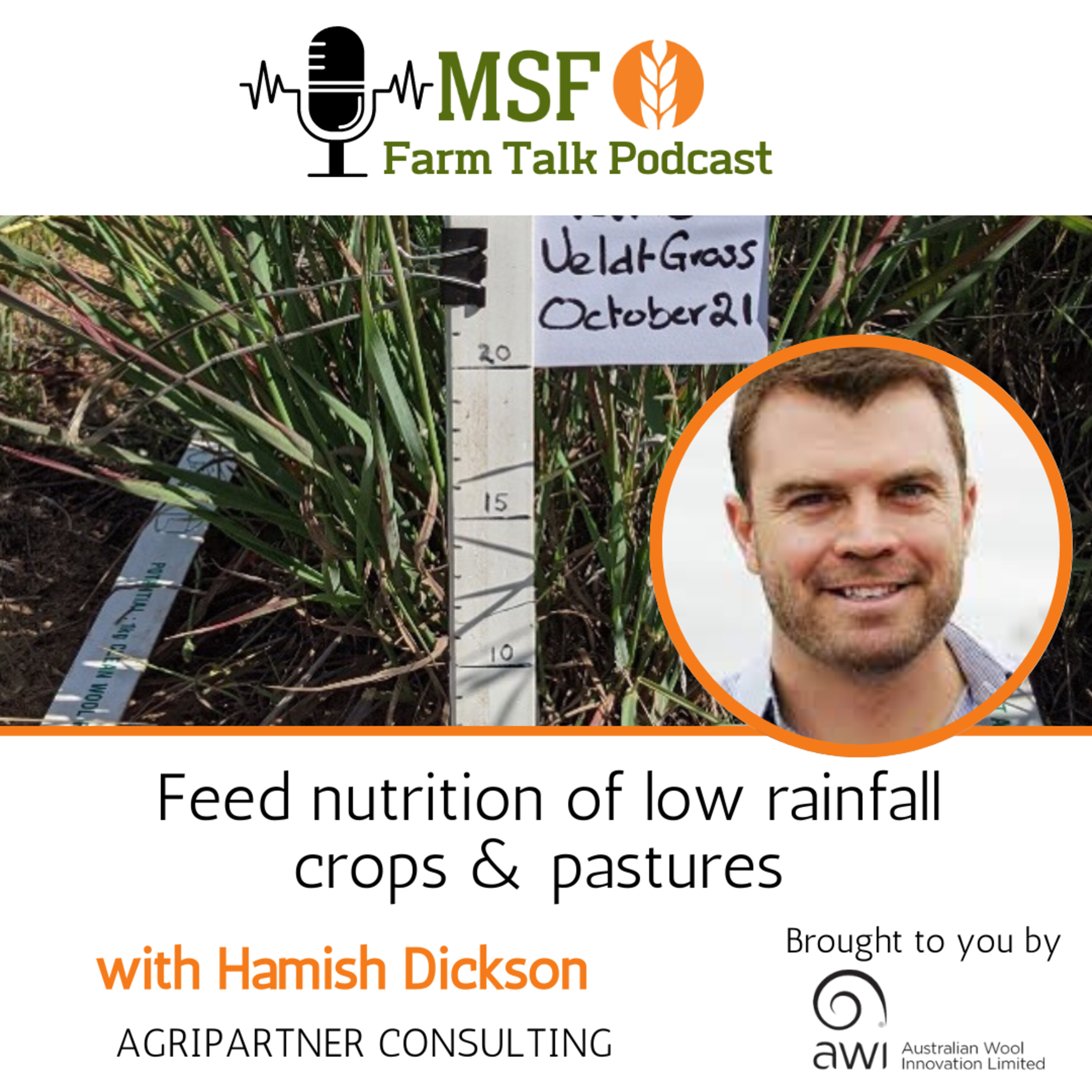 Feed nutrition of low rainfall crops and pastures