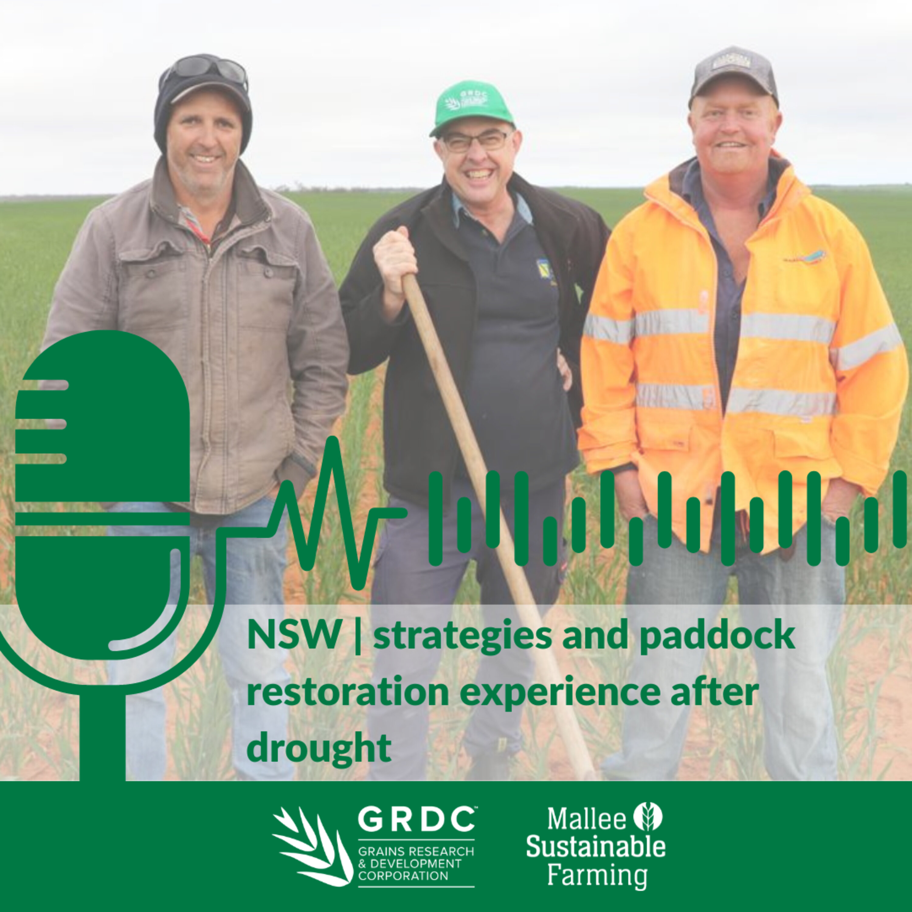 NSW strategies and paddock restoration experience after drought