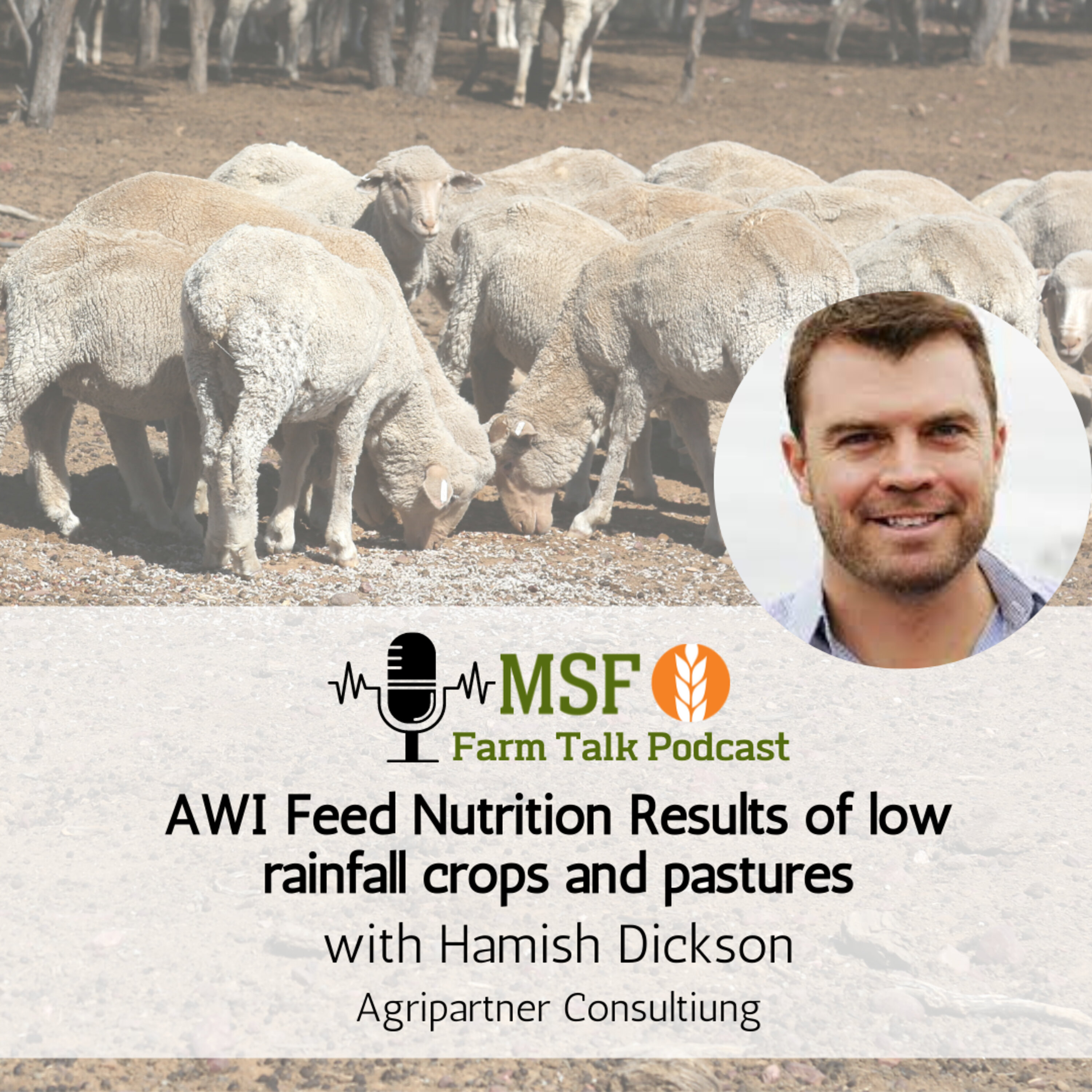 AWI Feed Nutrition results of low rainfall crops and pastures