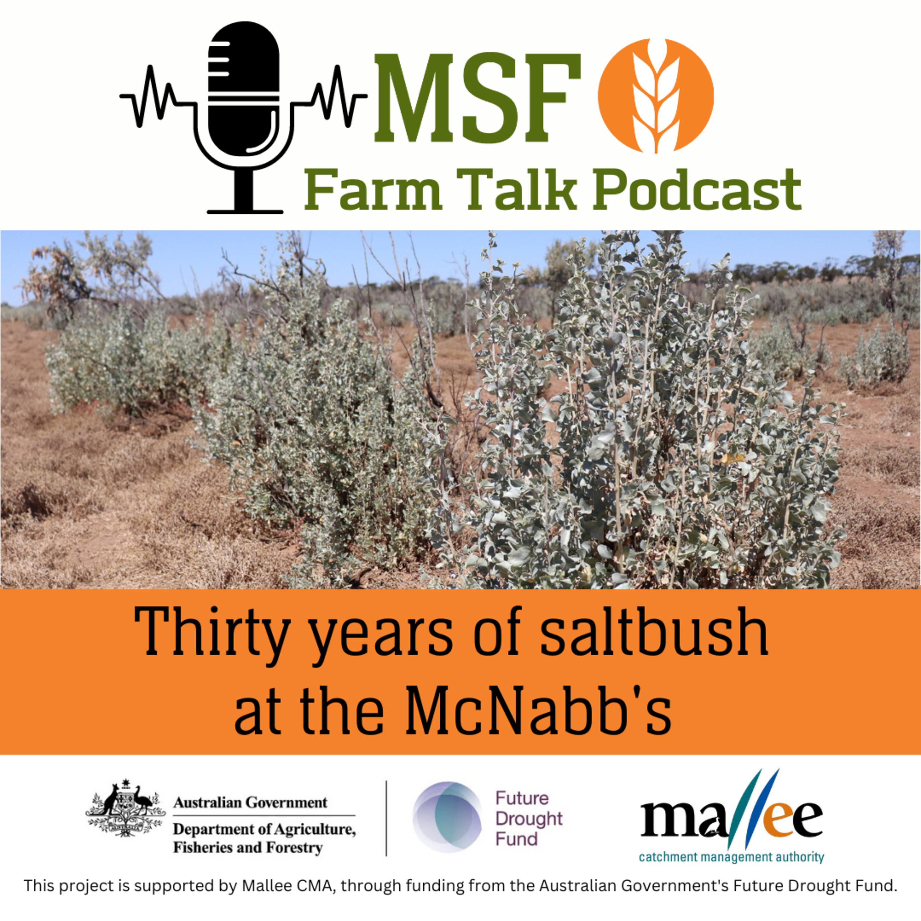 Thirty years of saltbush at the McNabb's