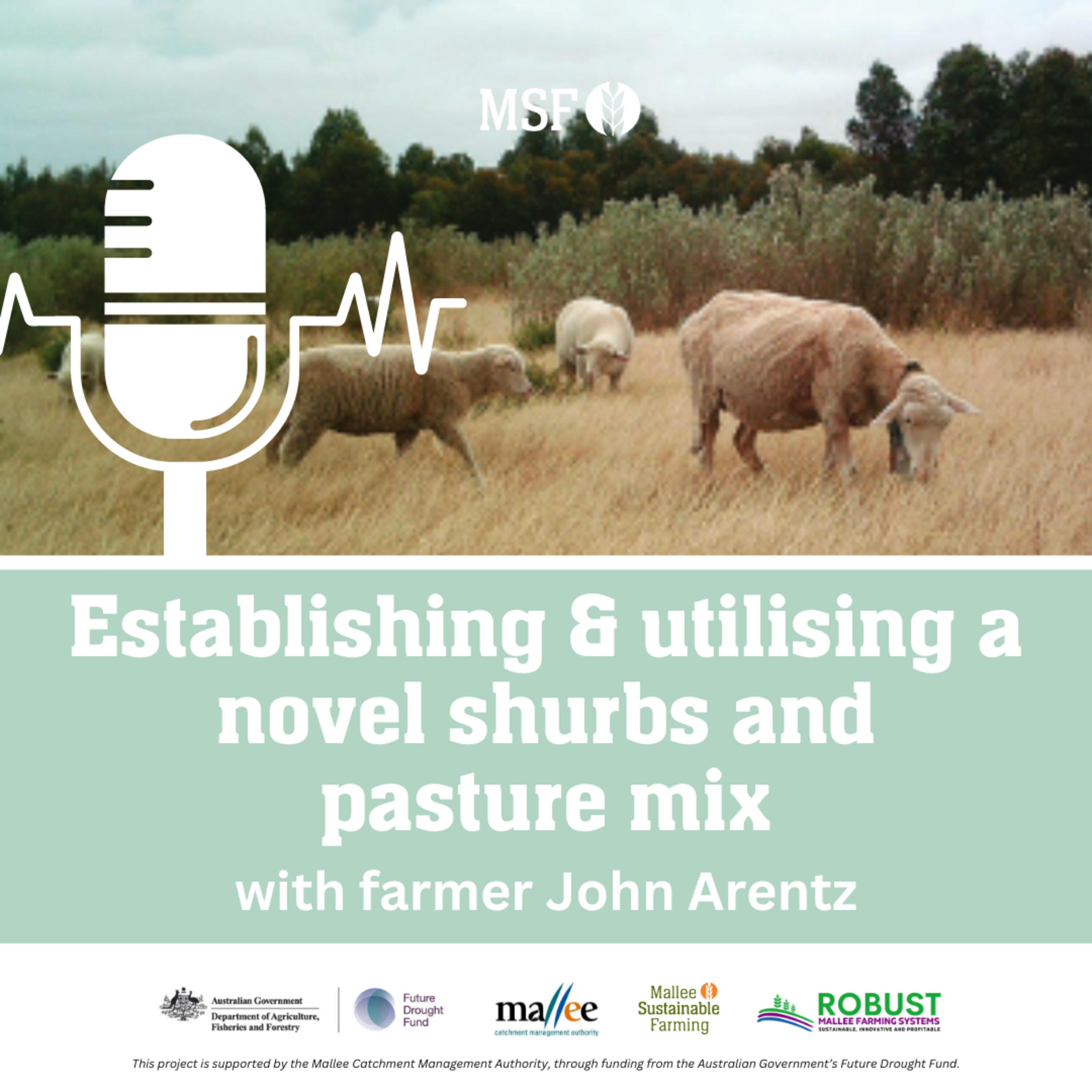 John Arentz, establishing and utilising a novel shrubs and pasture mix