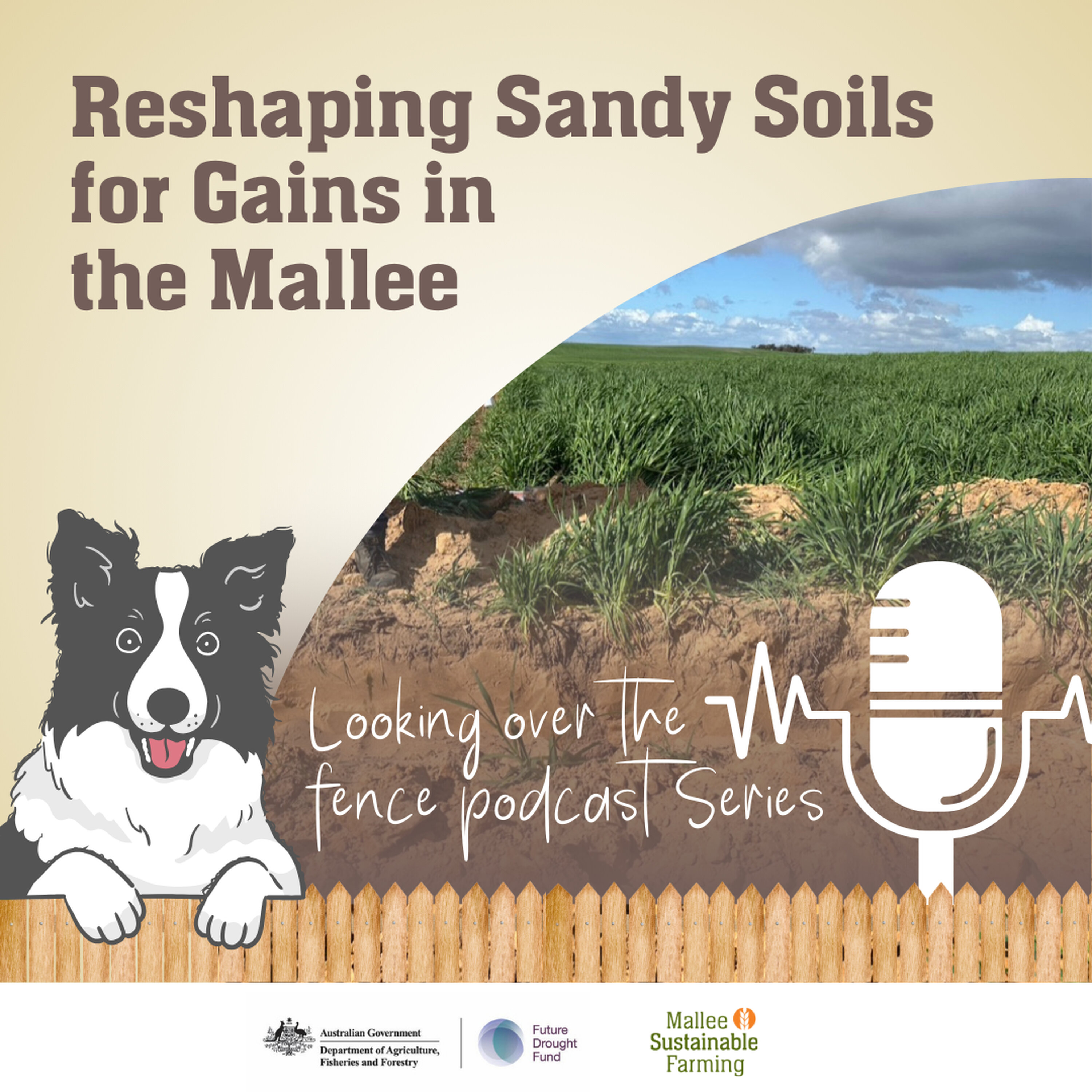 Reshaping Sandy Soils for Gains in the Mallee episode artwork