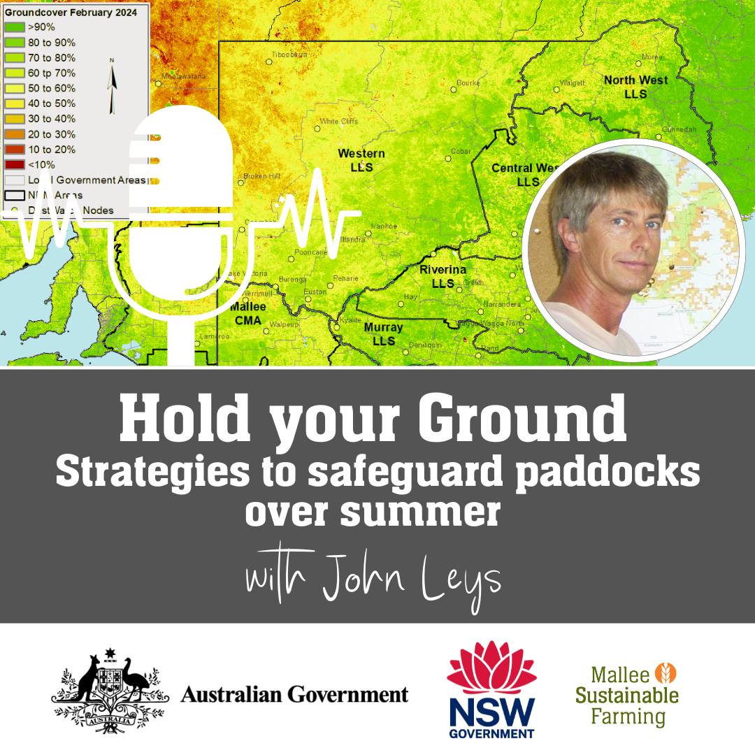 Hold your ground - Strategies to safeguard paddocks over summer episode artwork