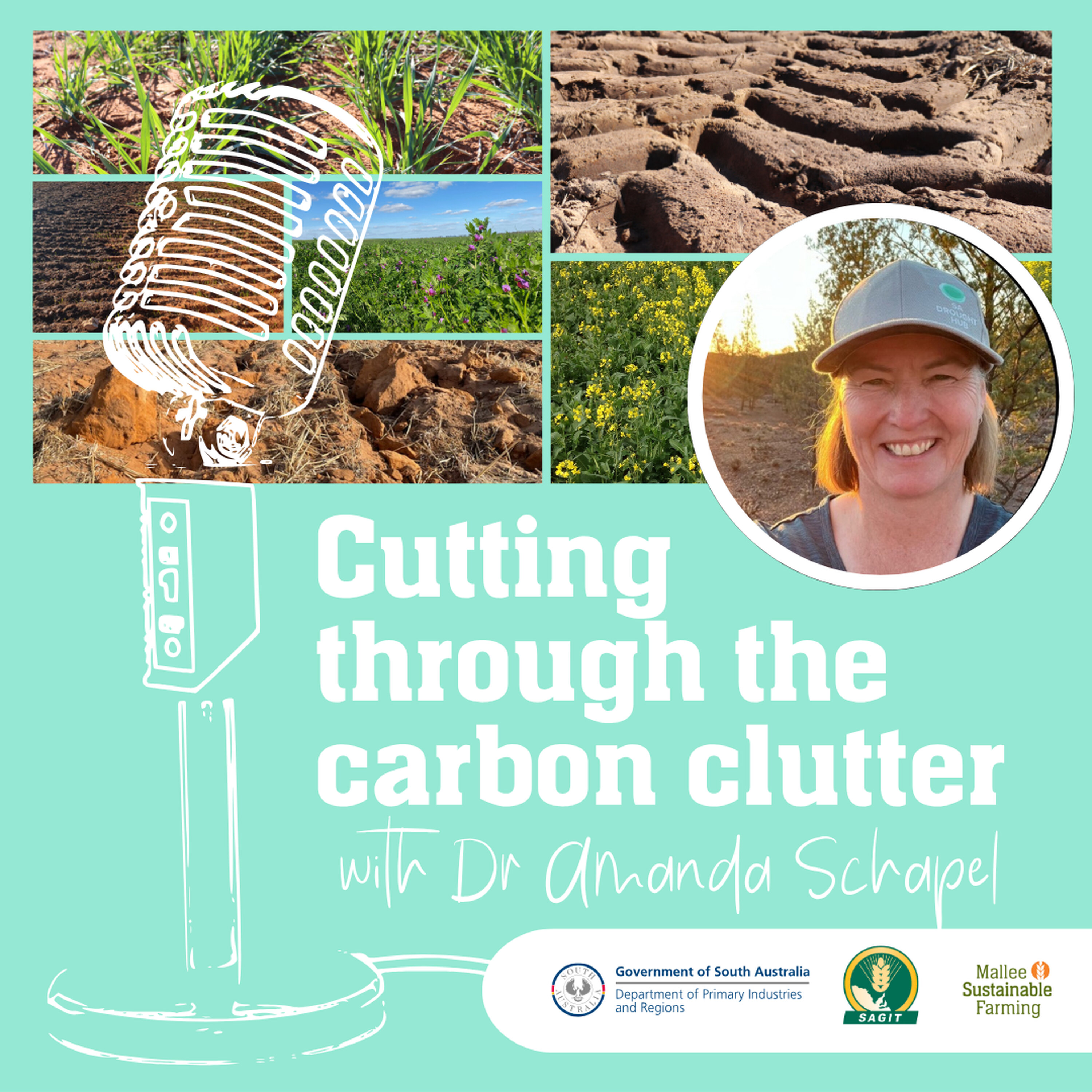 Cutting through the carbon clutter episode artwork